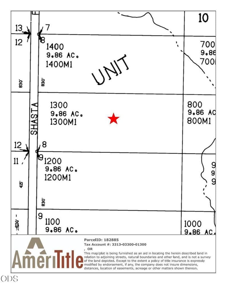 Photo of Shasta Fir 2 of 3