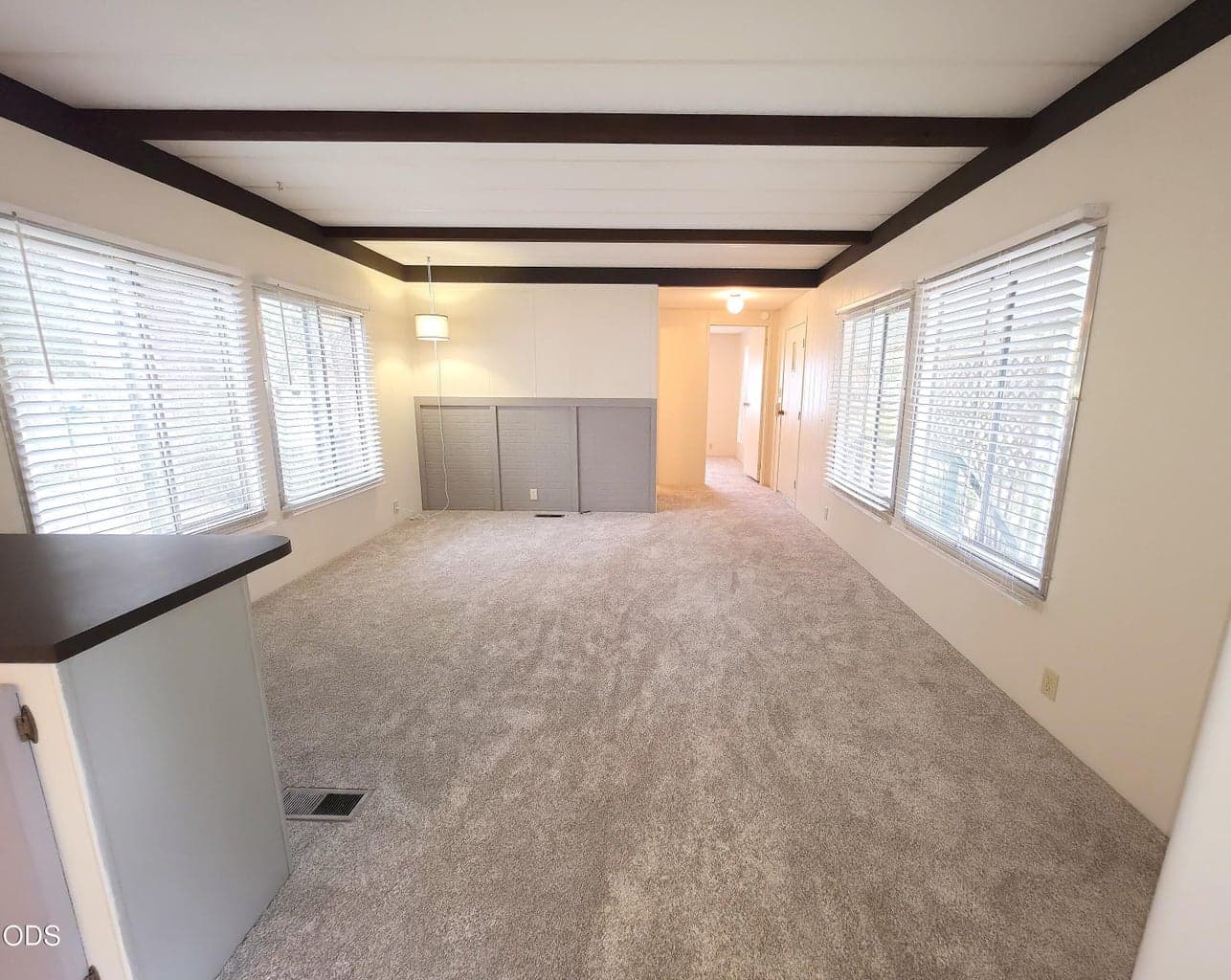 Living Room is light and bright