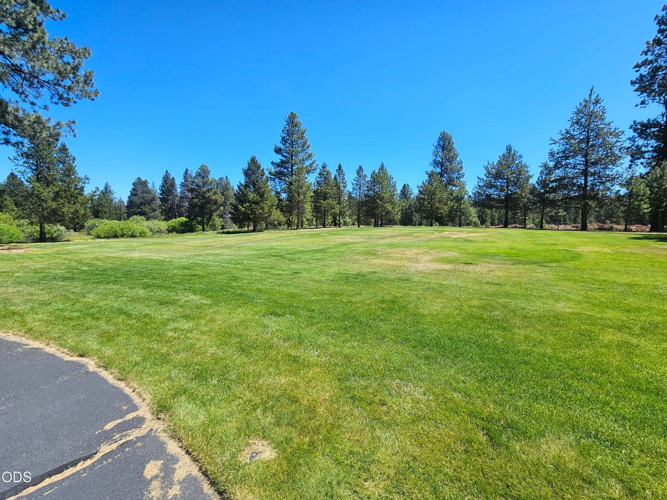 One of several lawn areas at community center