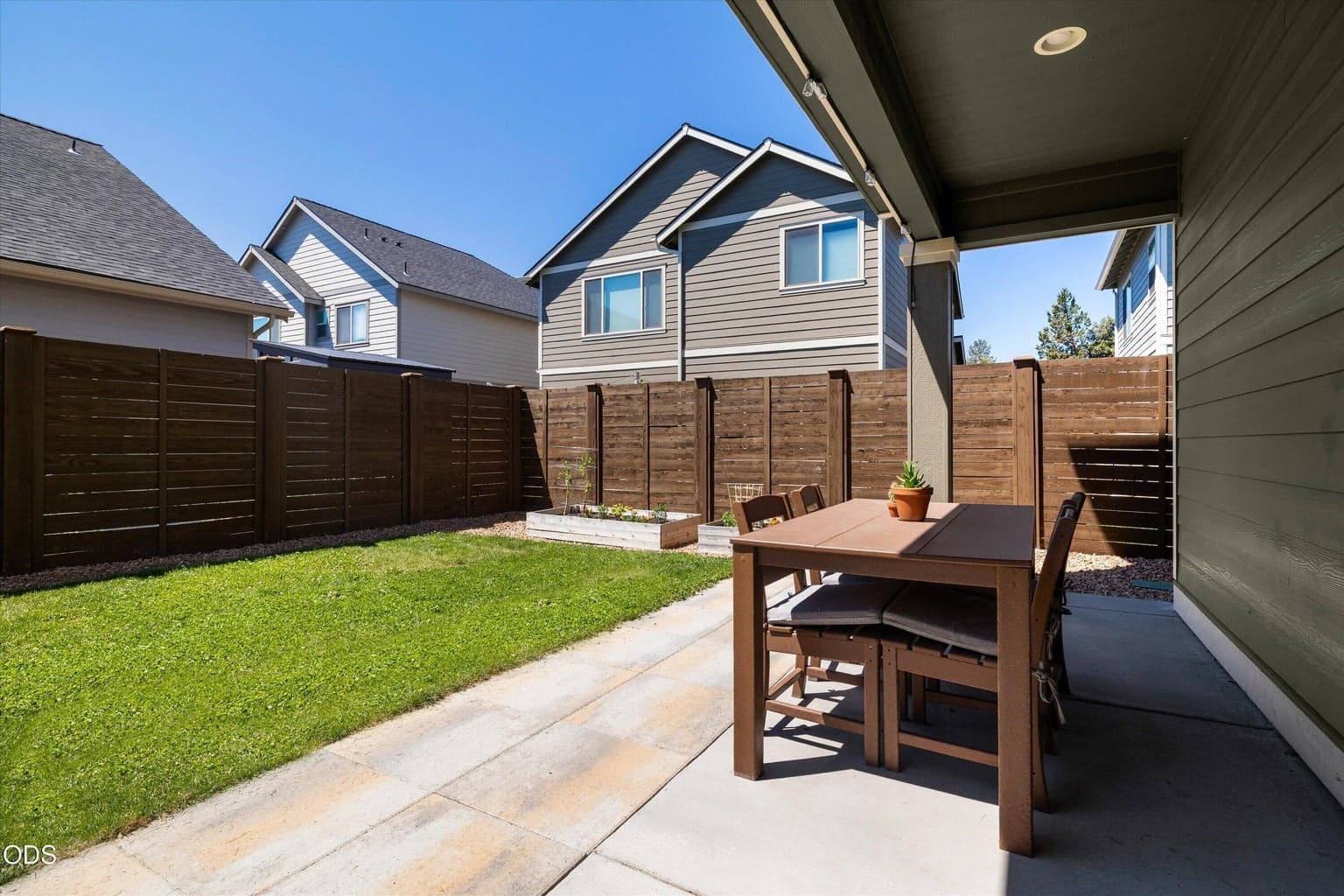 Sunny back yard