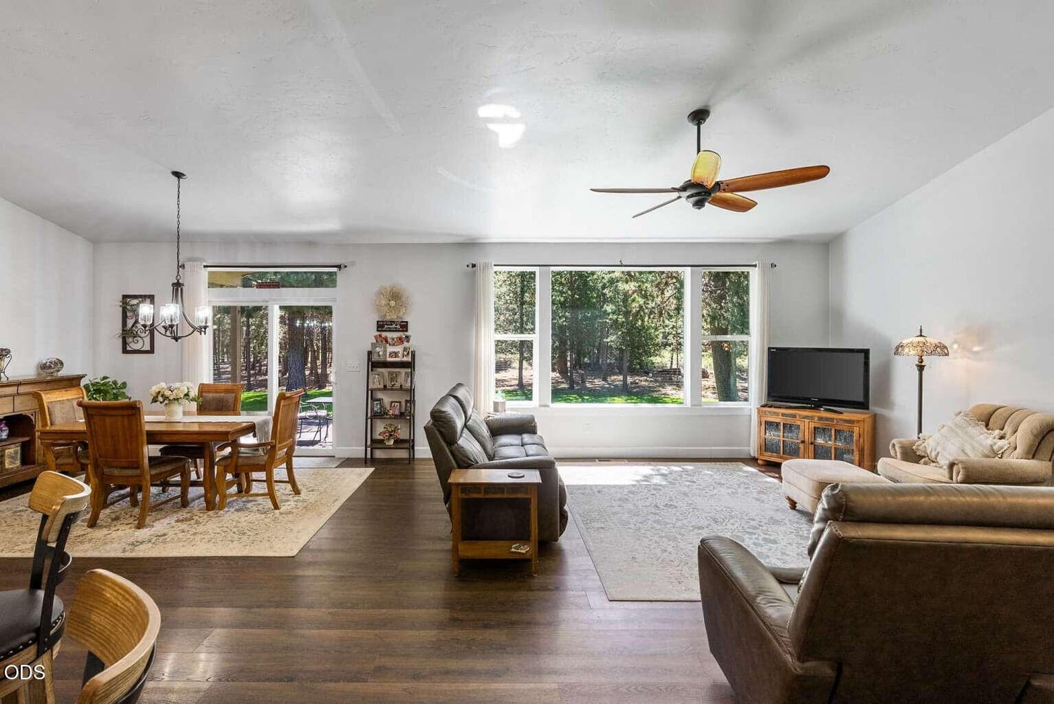 Photo of 147853 Mabel 5 of 28