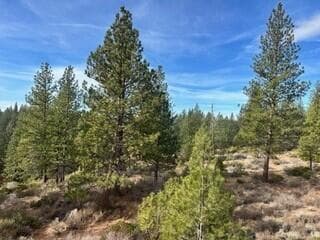 Photo of 18575 SW Century Drive 17 of 26