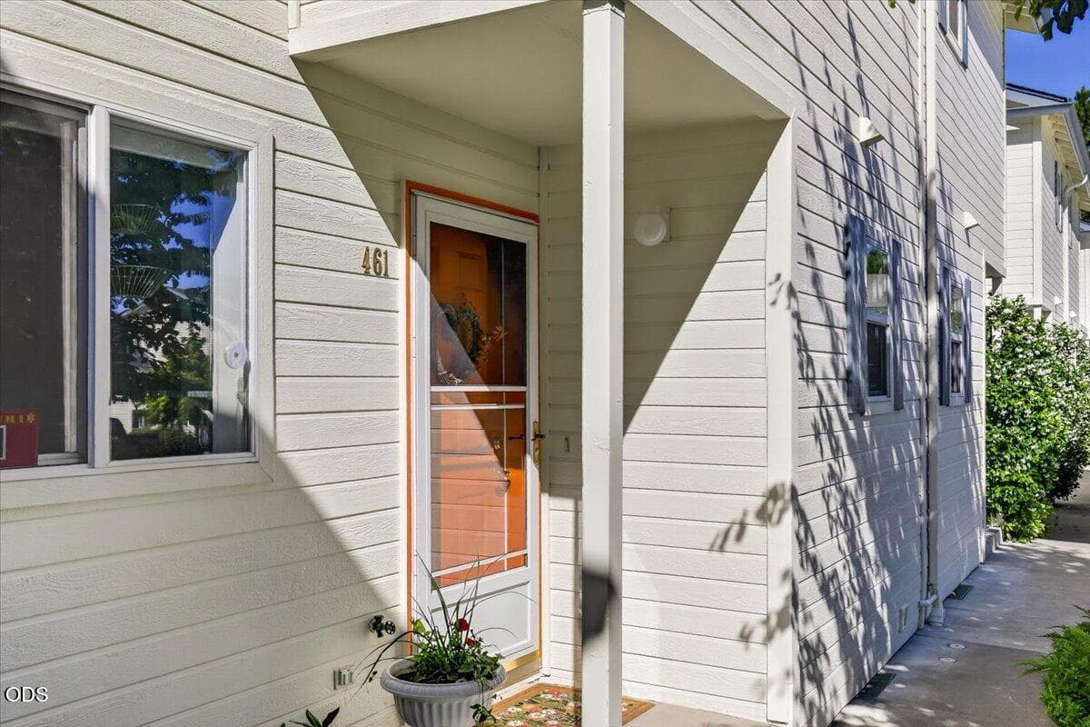 Photo of 461 Tulipan 2 of 24