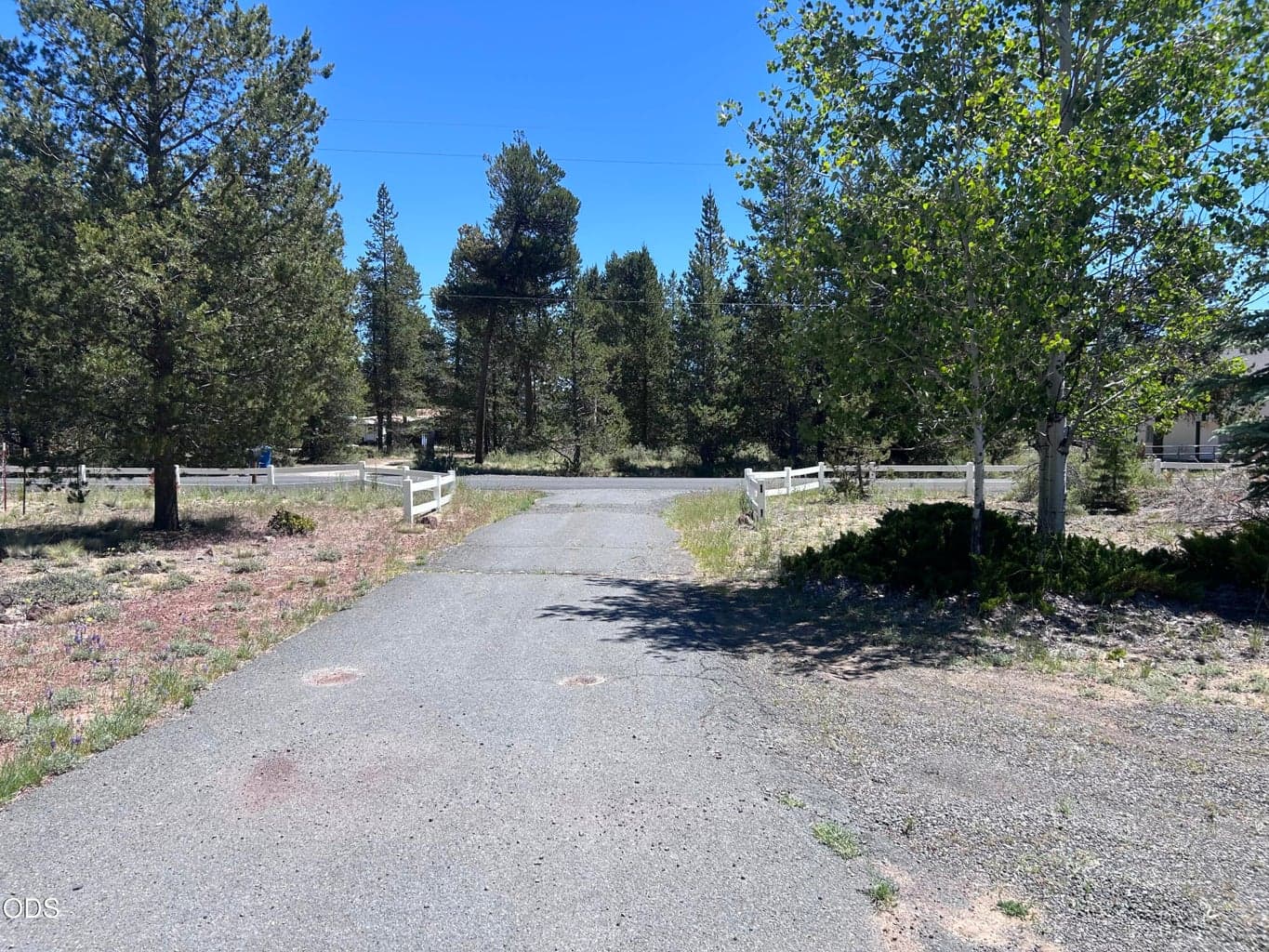 Driveway view to street
