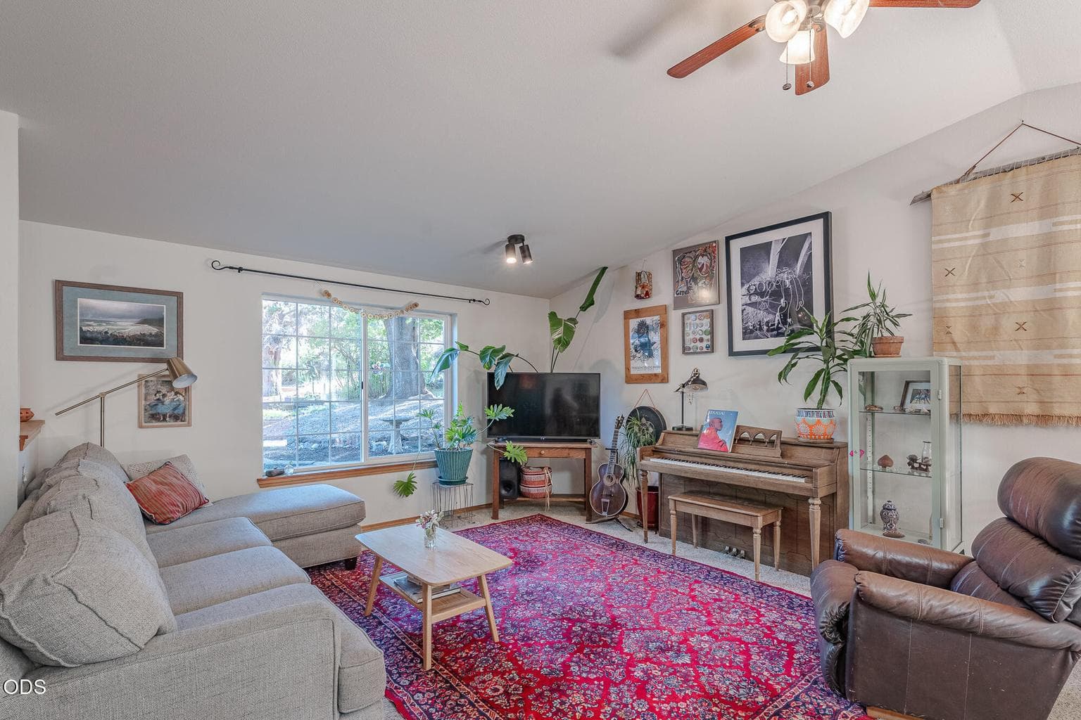 Photo of 2653 Genet 5 of 29