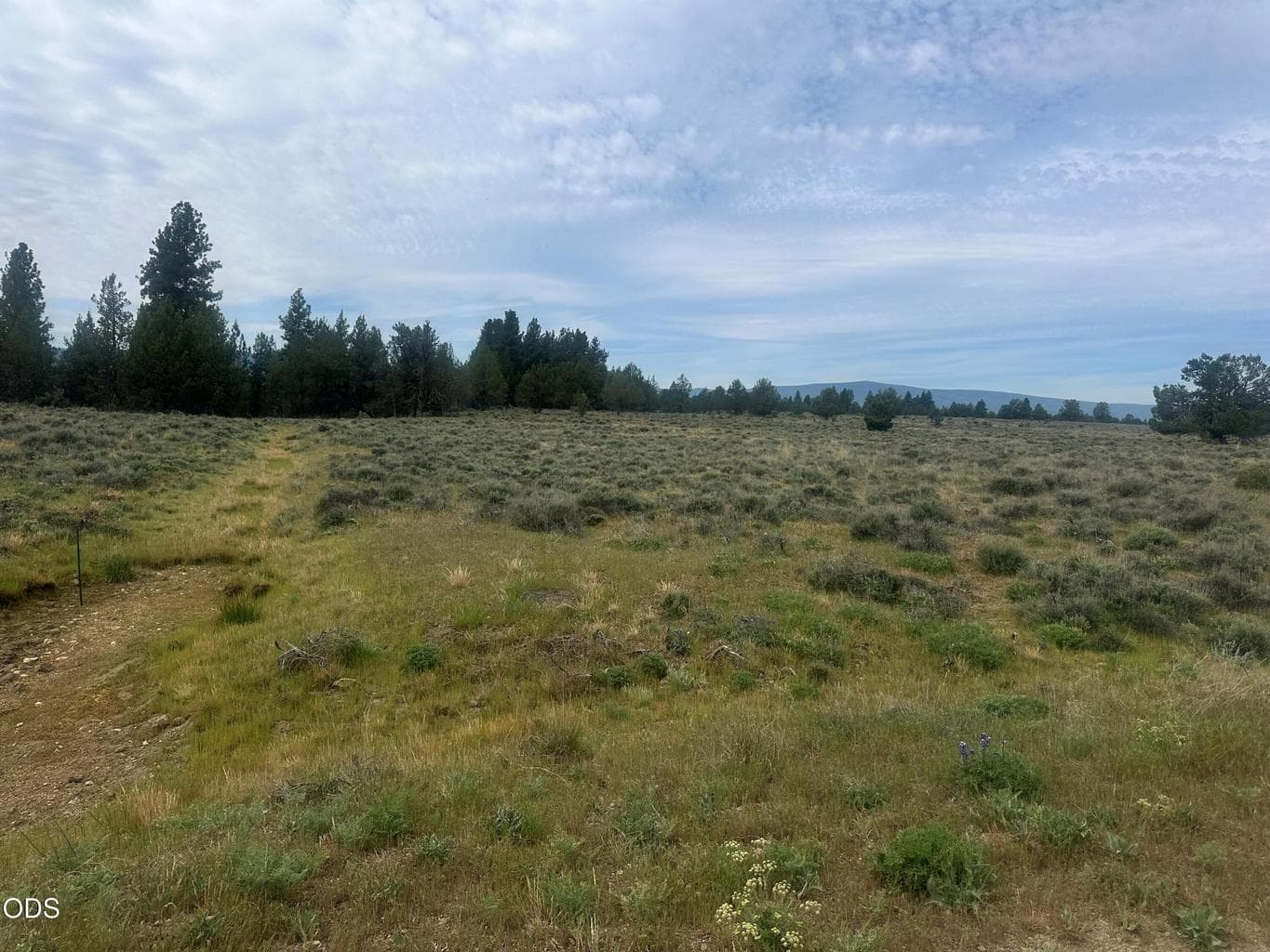 Photo of 0 Rim Drive 2 of 3