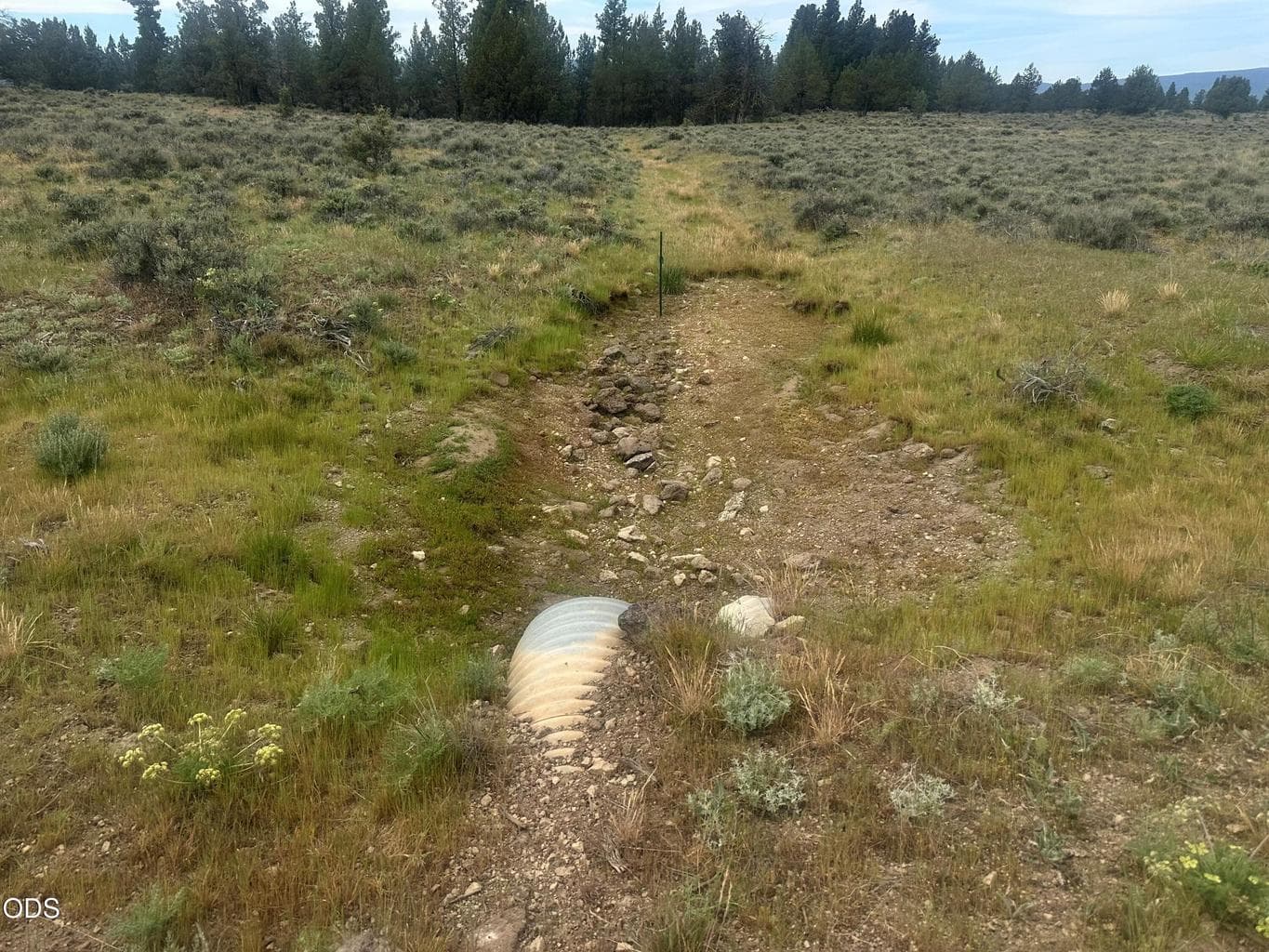 Photo of 0 Rim Drive 3 of 3