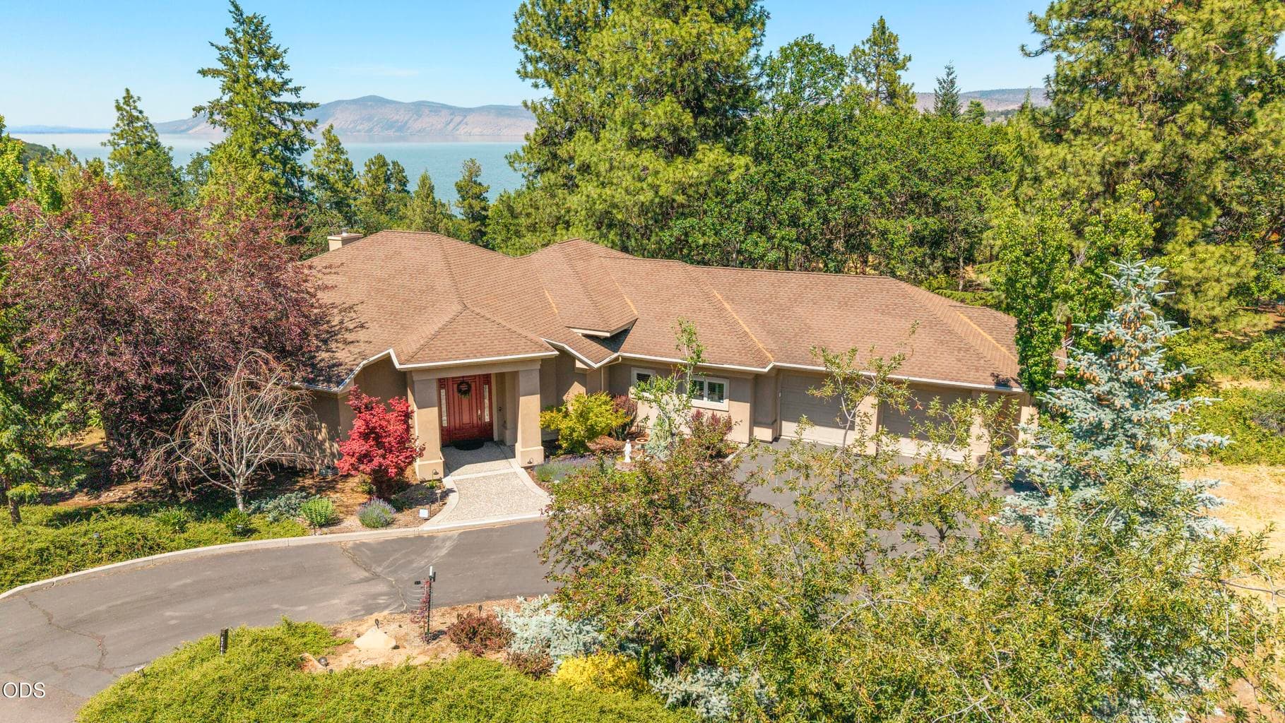 Photo of 6749 Coopers Hawk 5 of 60