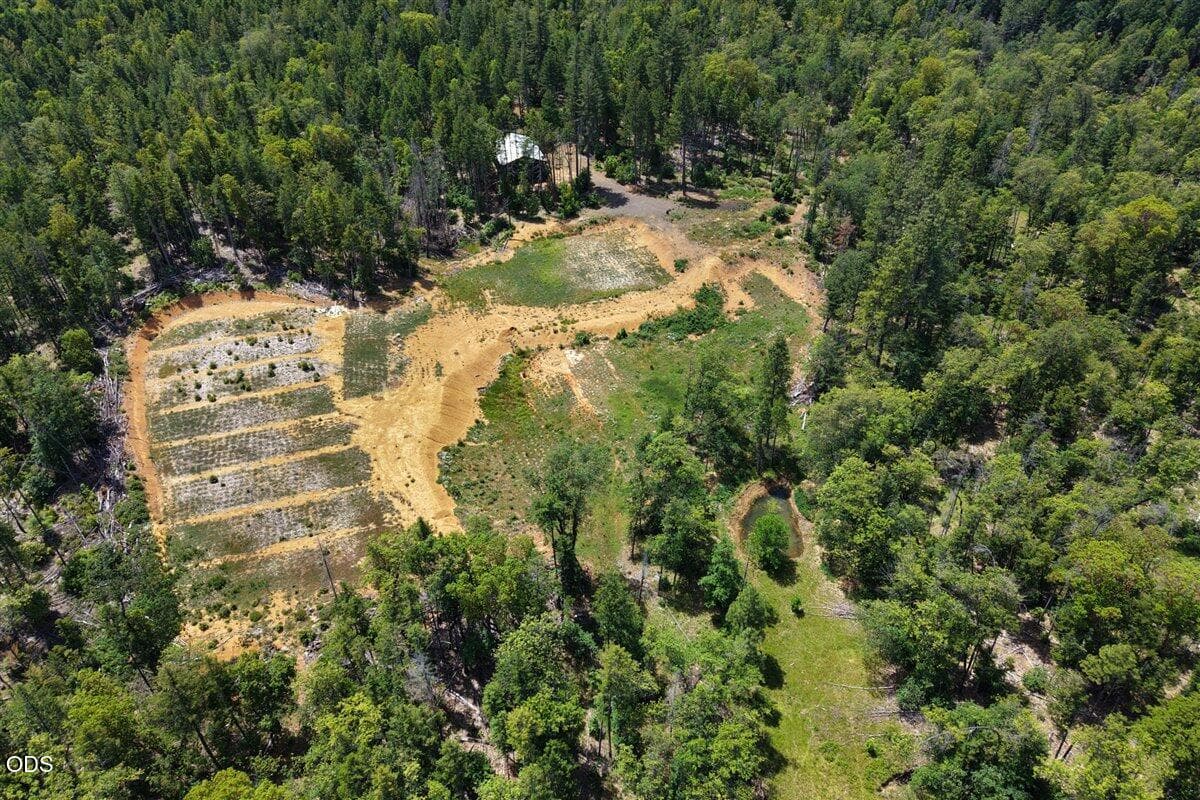 Photo of 35000 Redwood 1 of 30