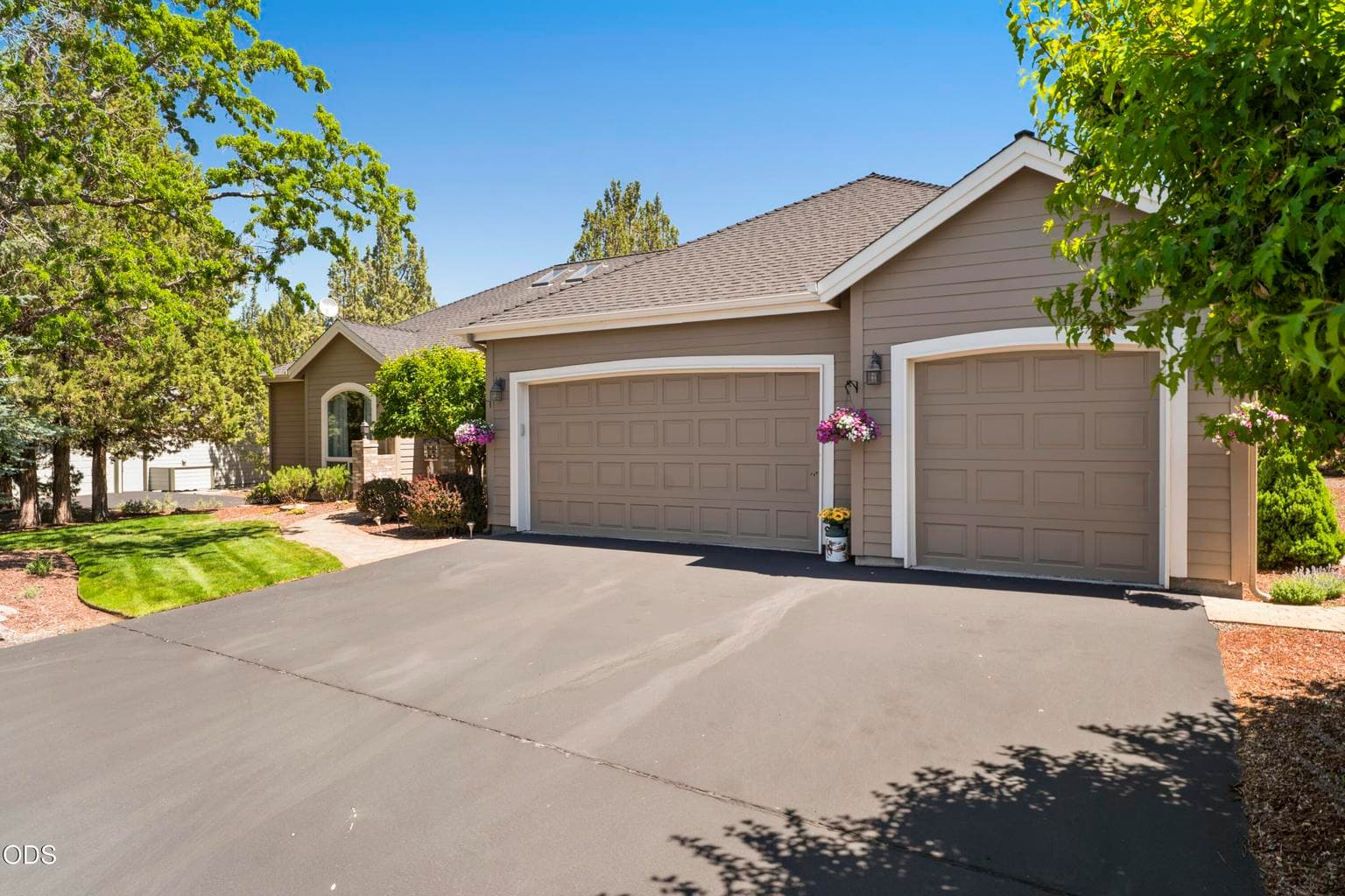 Photo of 880 Willet 2 of 85