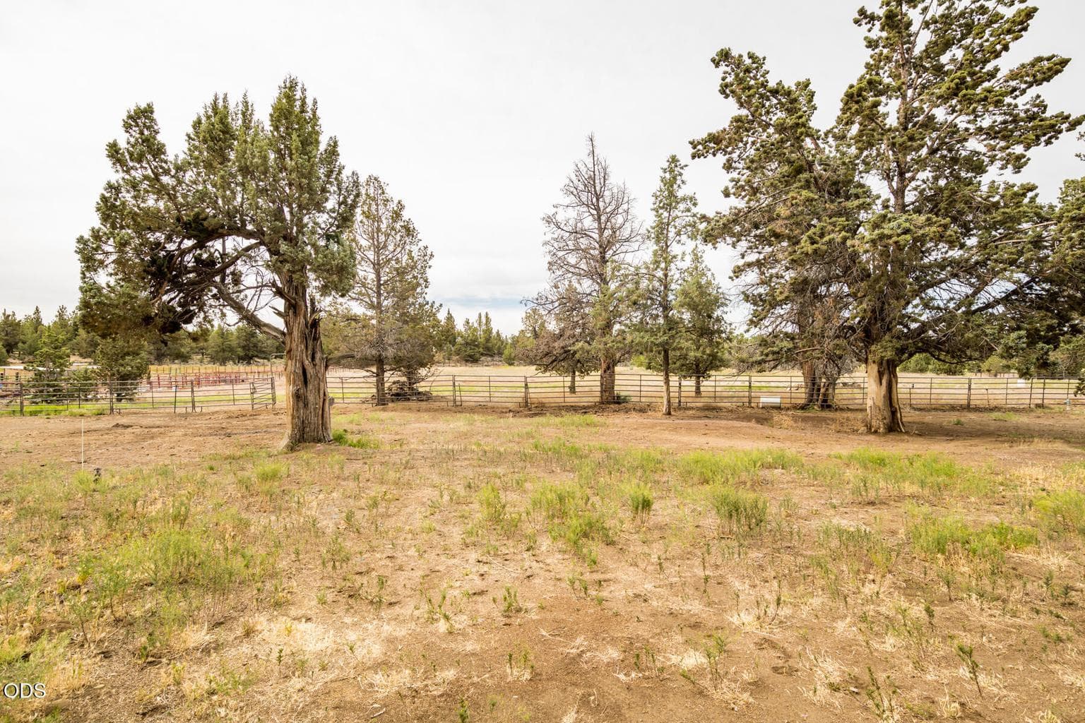 Photo of 22305 Neff Road 39 of 56