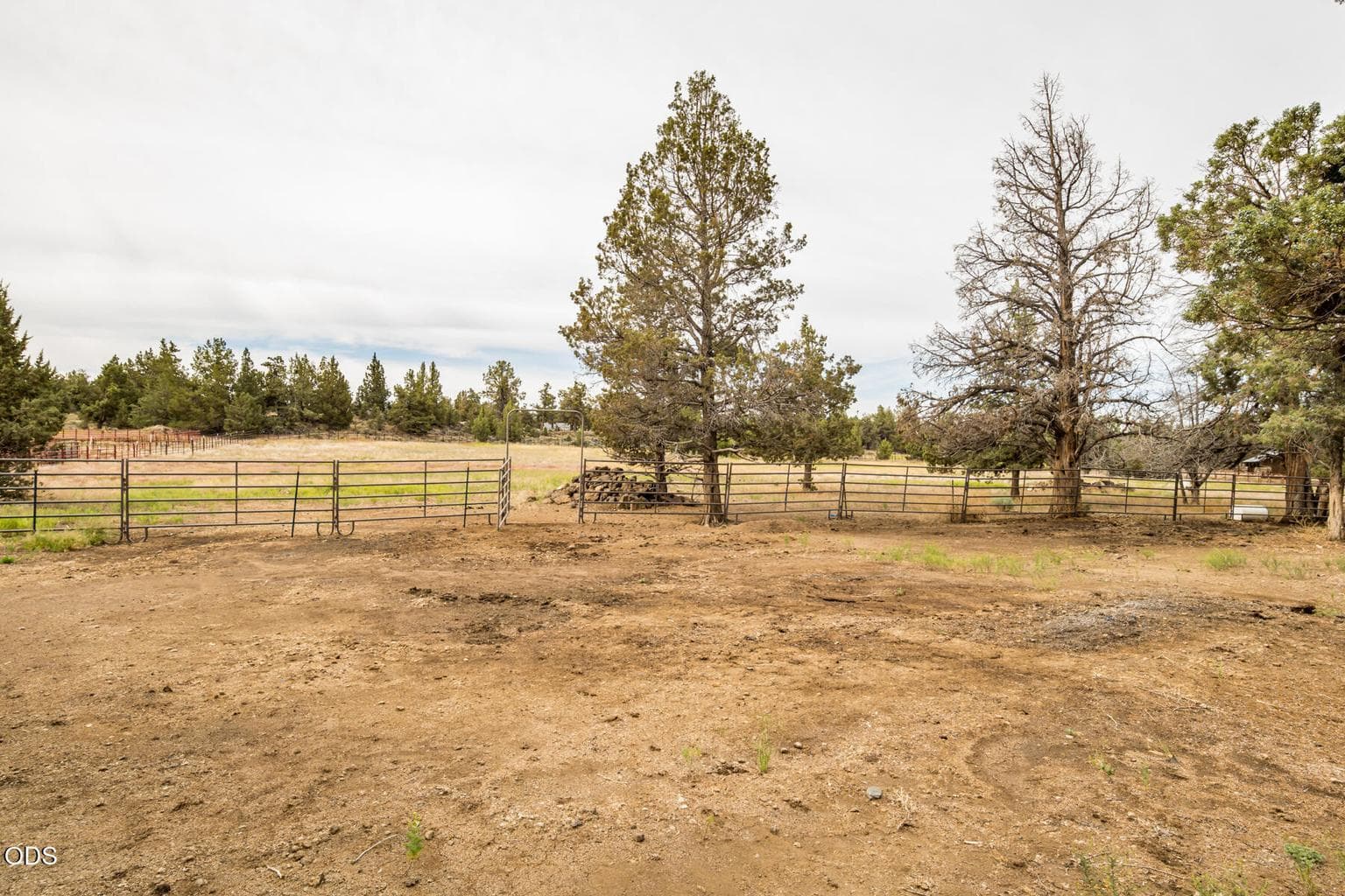 Photo of 22305 Neff Road 40 of 56