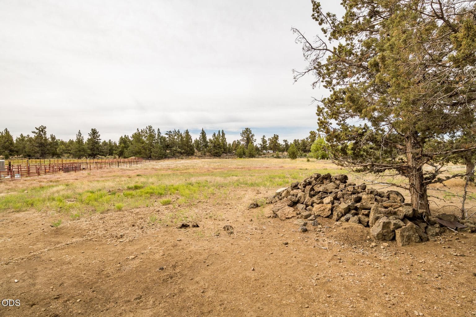 Photo of 22305 Neff Road 41 of 56