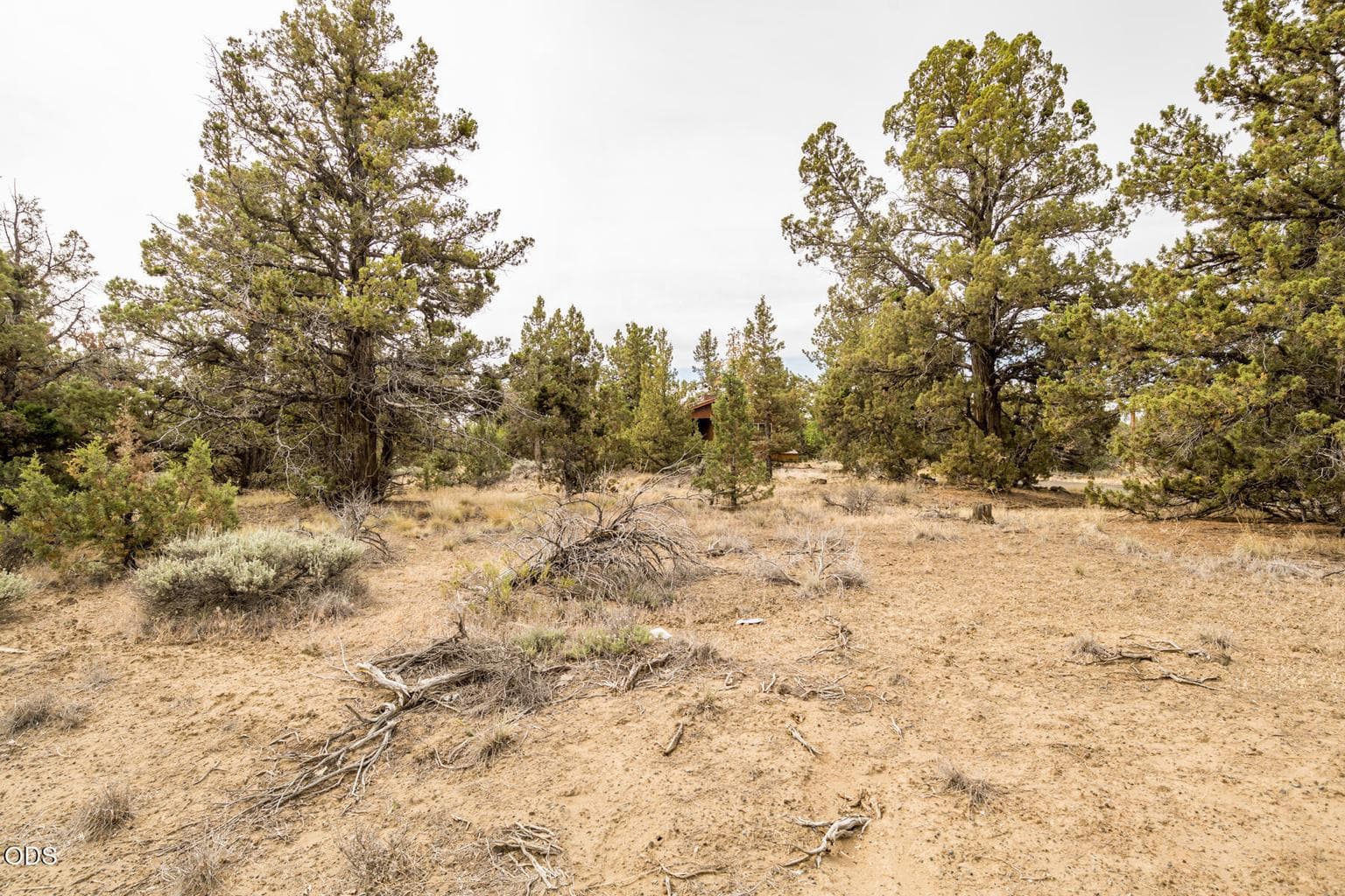 Photo of 22305 Neff Road 52 of 56