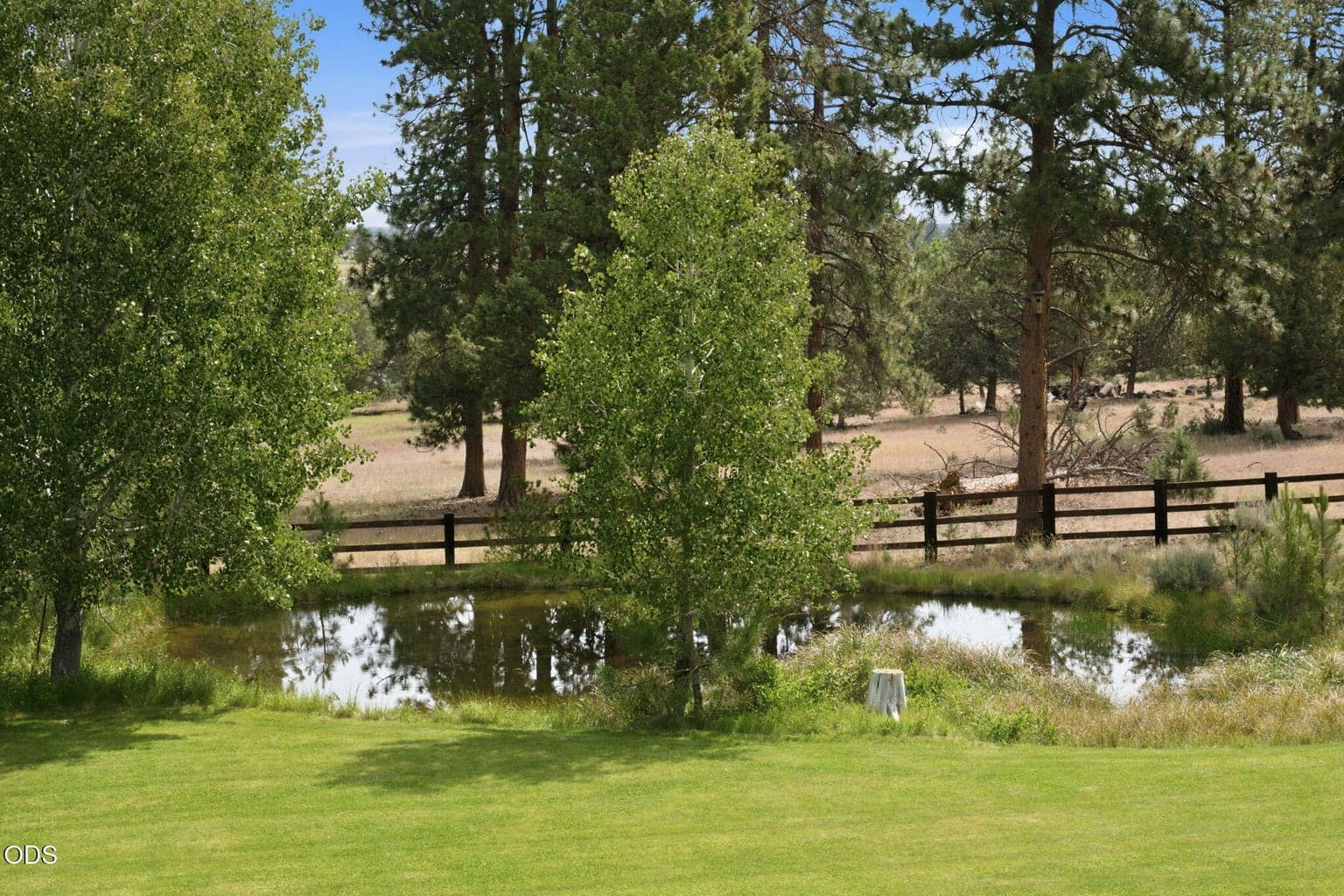 Photo of 16927 Highway 126 13 of 48