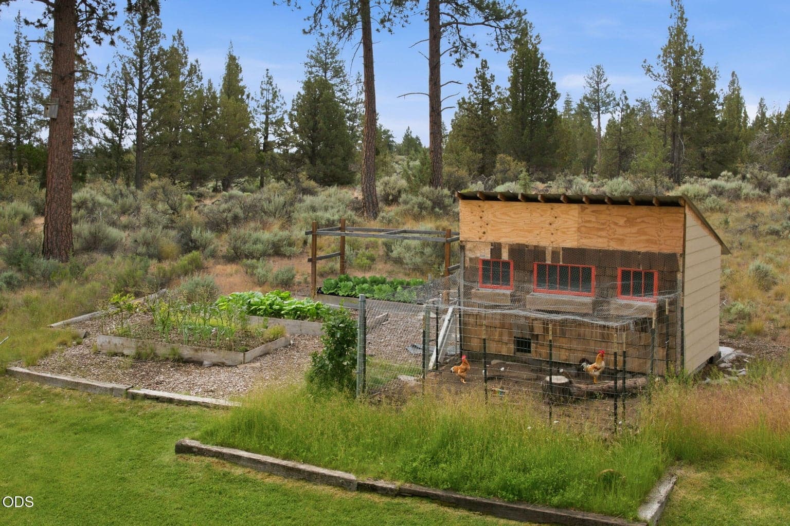 Photo of 16927 Highway 126 12 of 48