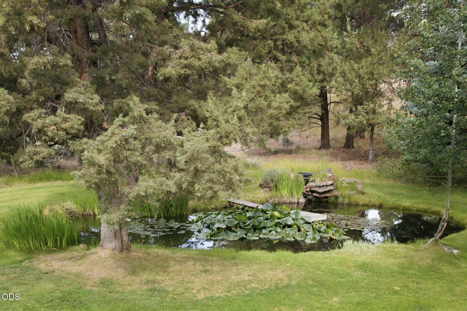 Photo of 16927 Highway 126 11 of 48