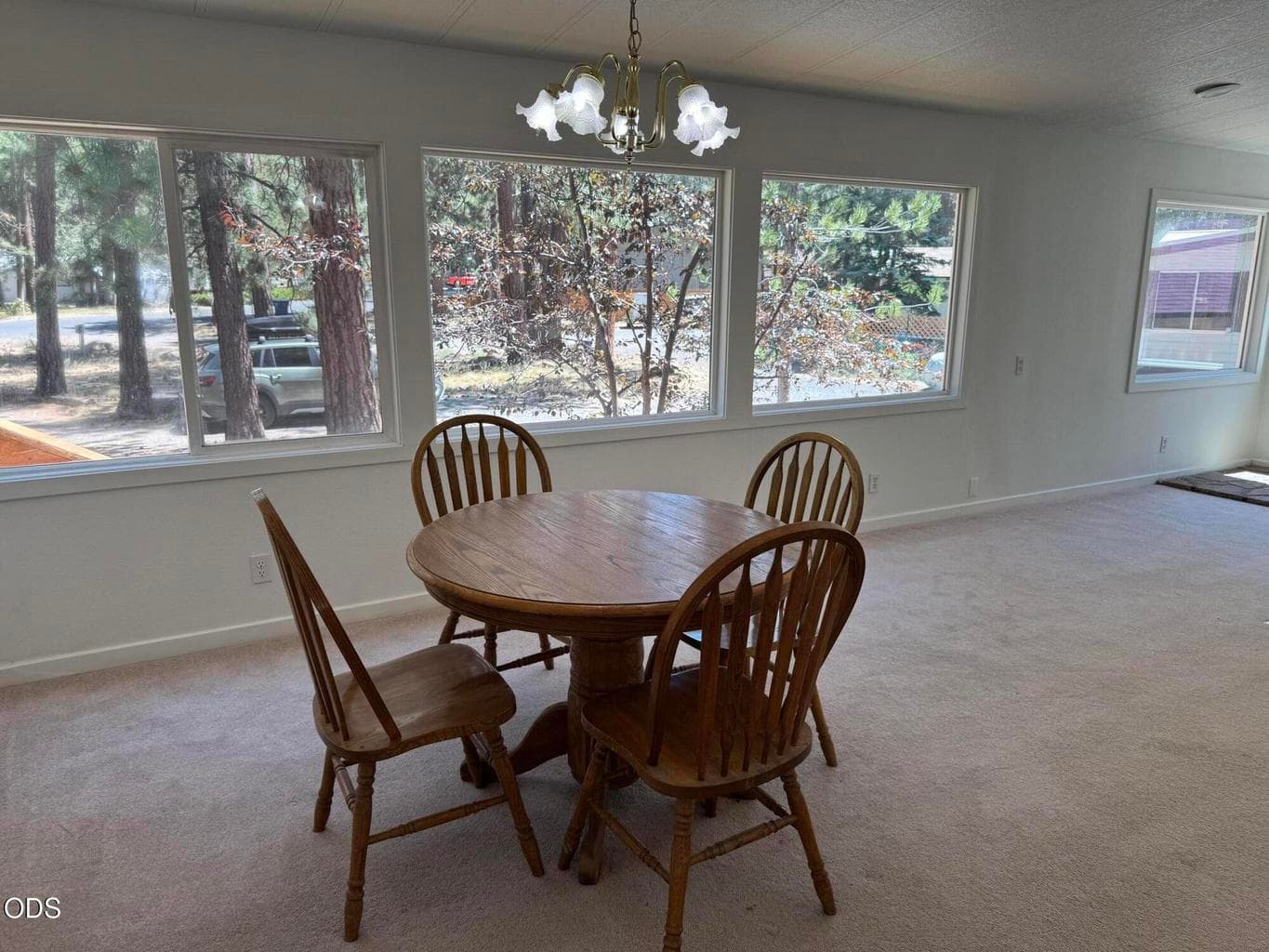 Photo of 61057 Chuckanut 3 of 4
