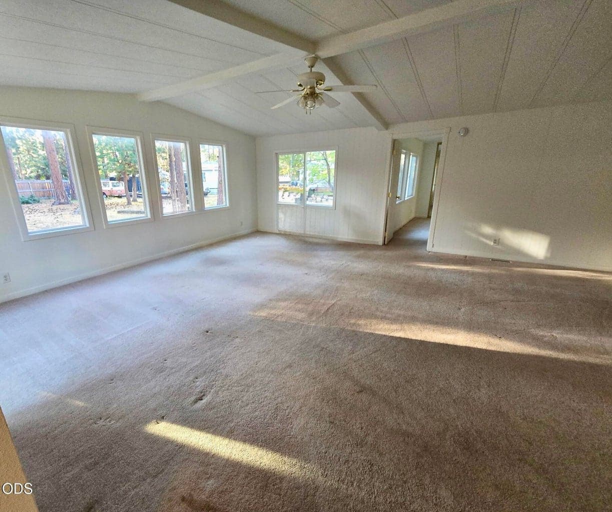 Photo of 61057 Chuckanut 4 of 4