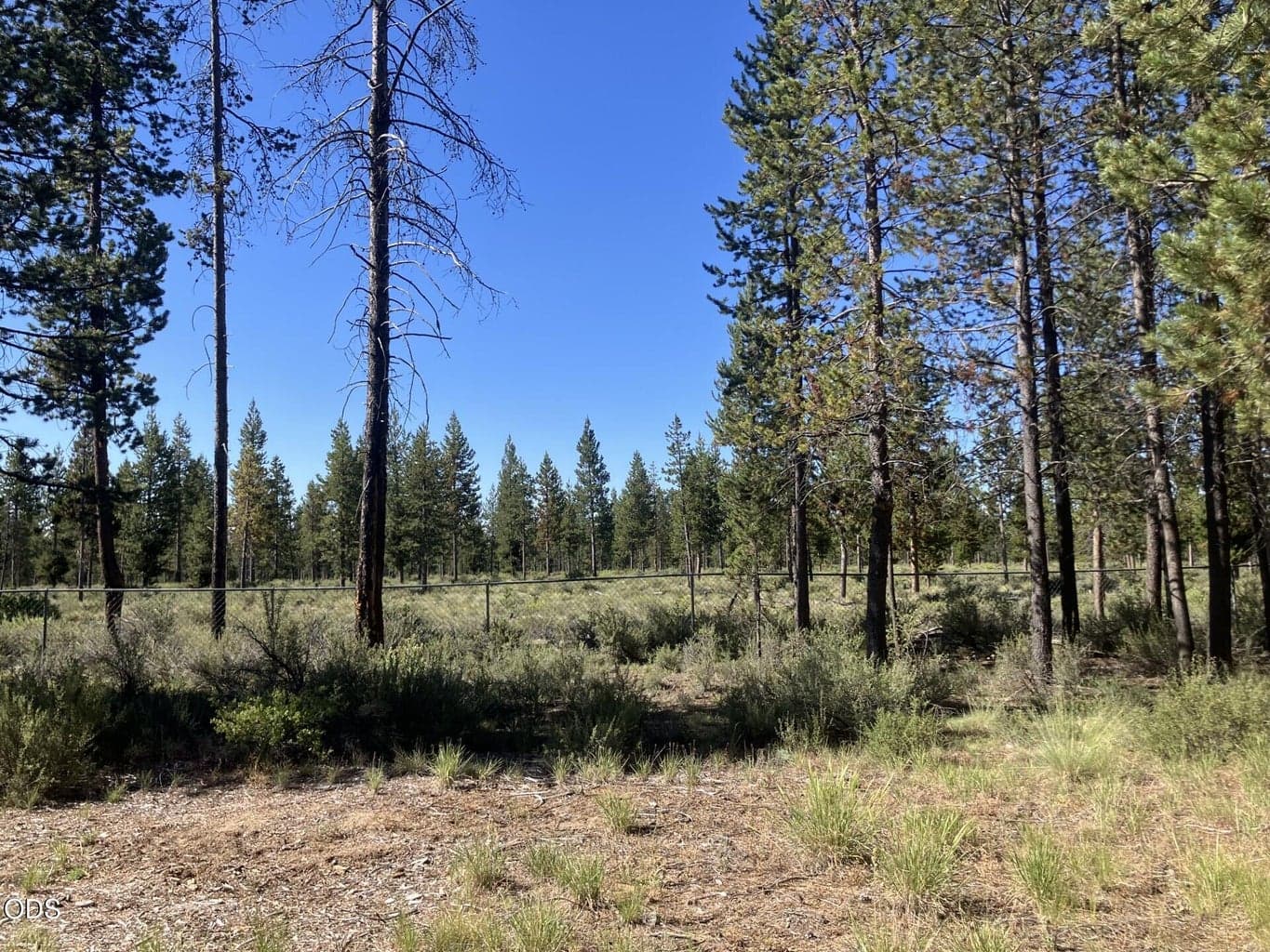 Photo of 16985 Whittier Drive 22 of 25