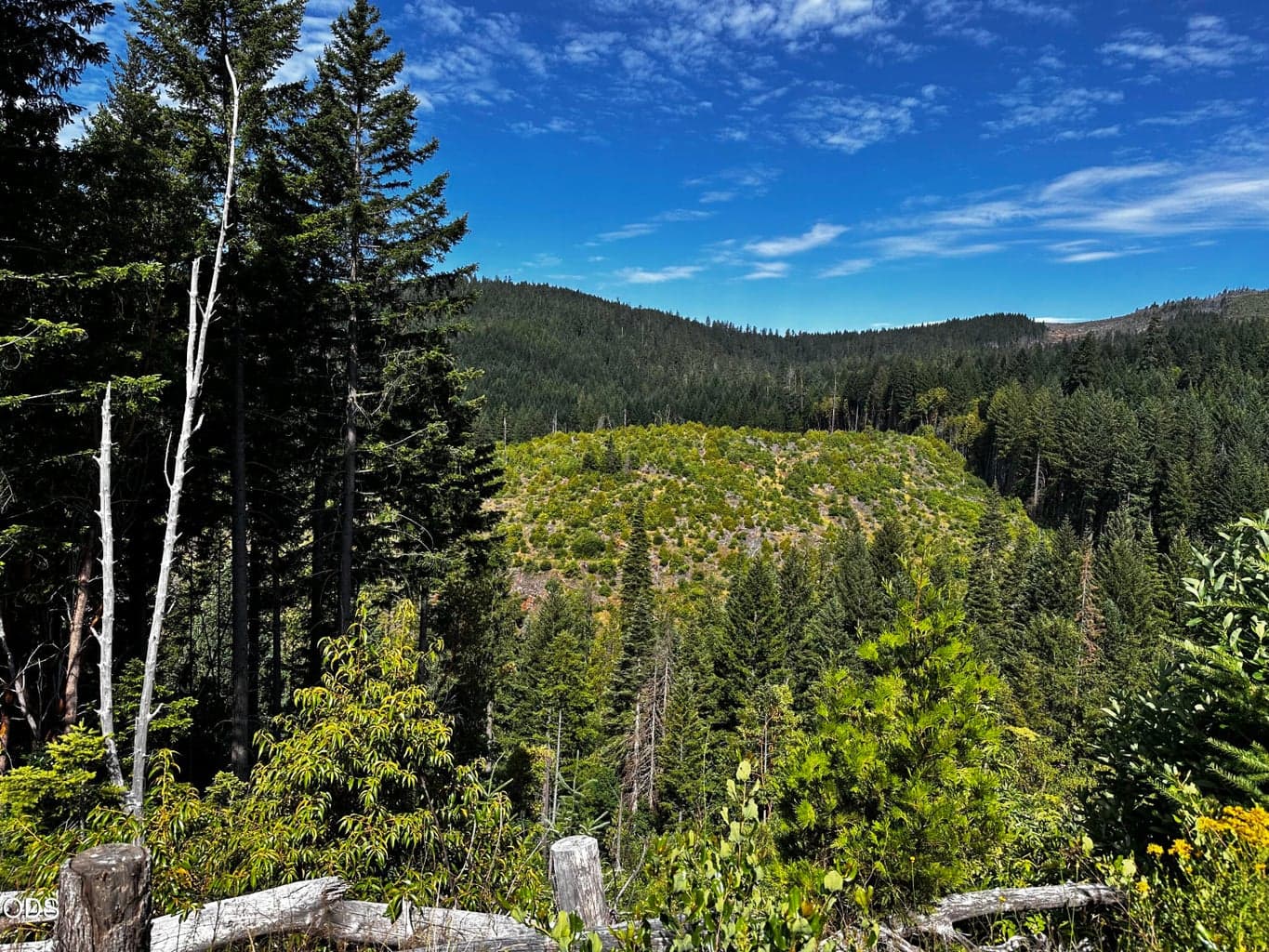 Upper Joe Creek