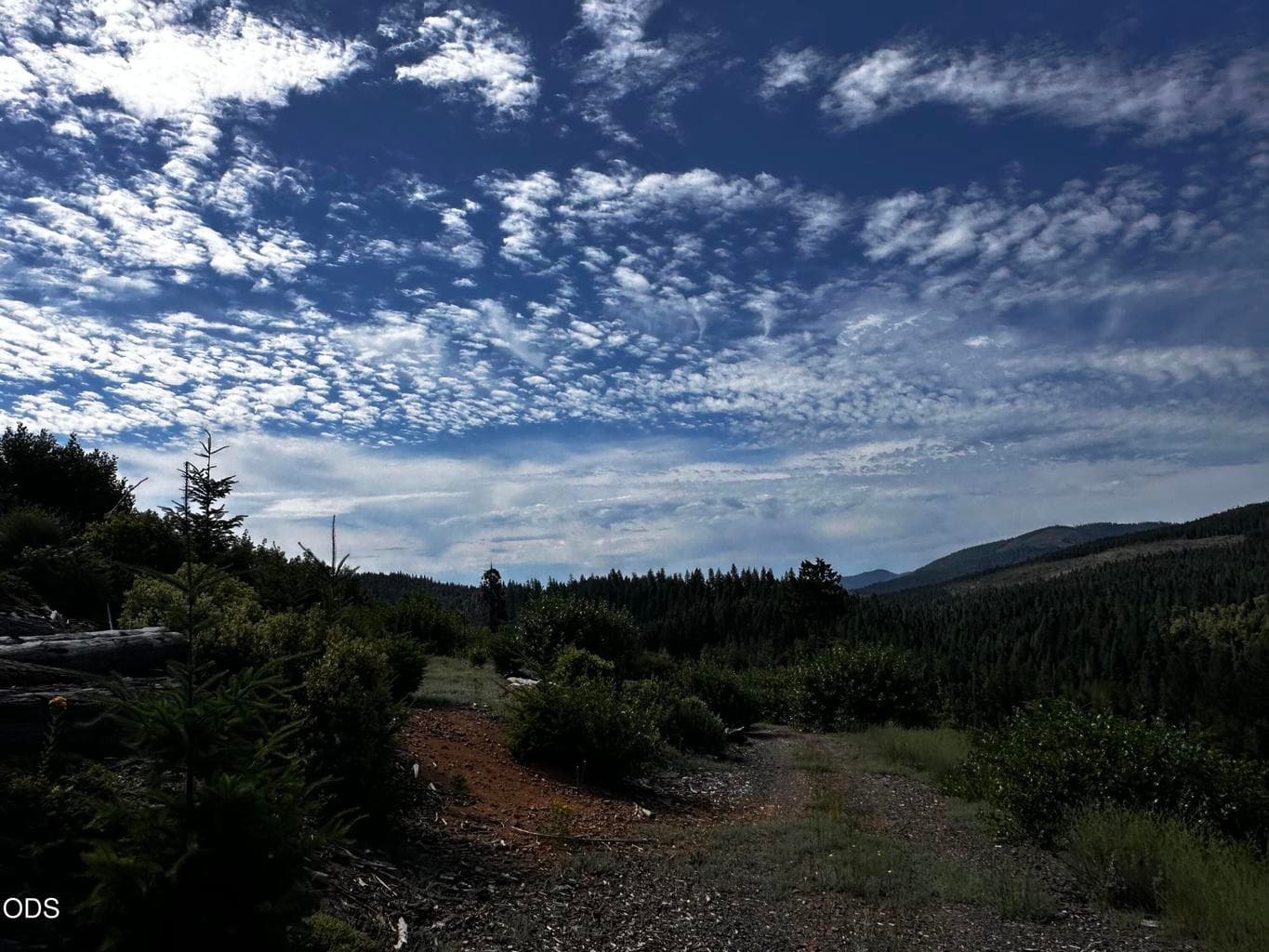 Photo of Upper Joe Creek 4 of 39