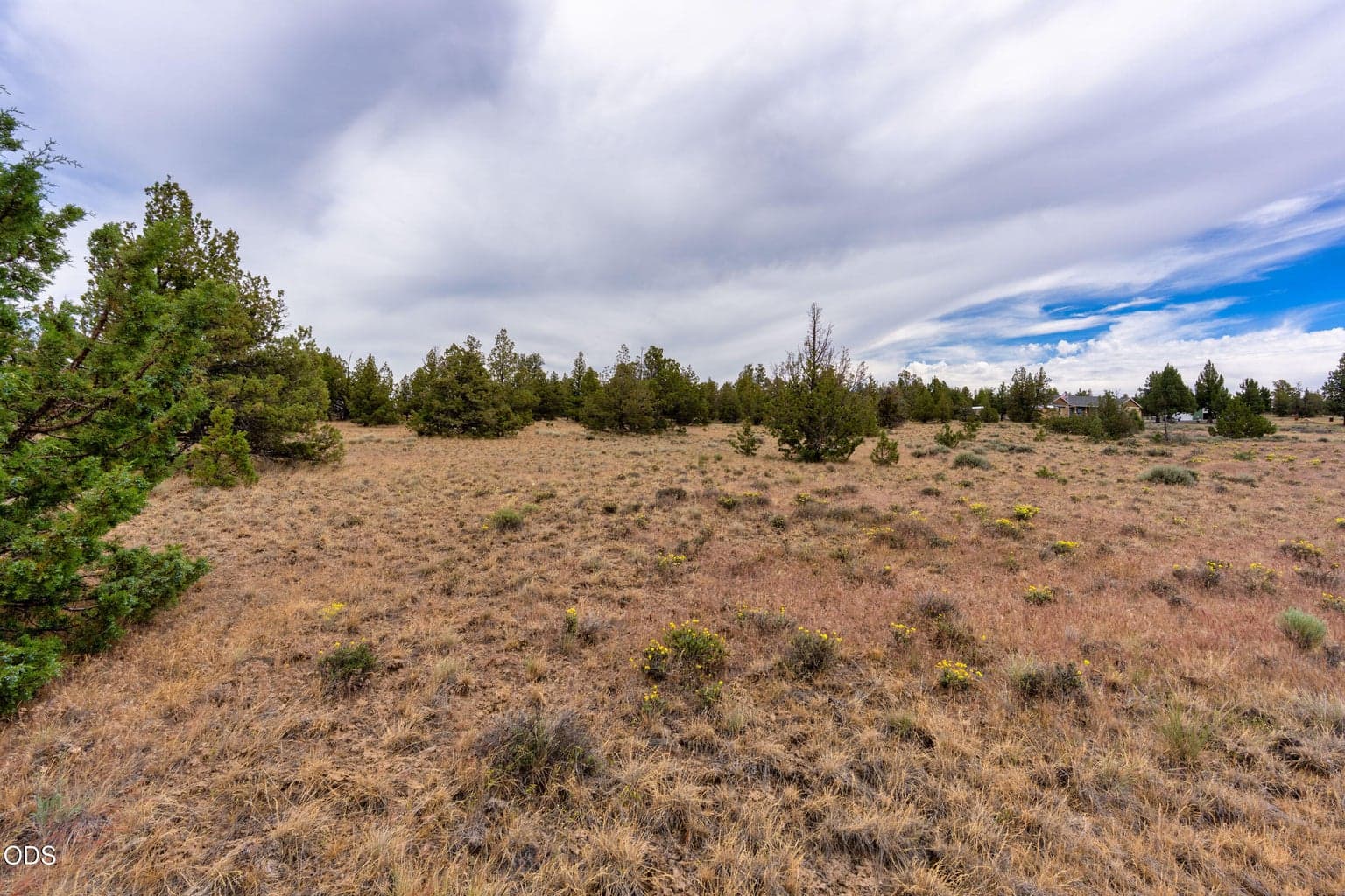 Photo of 10388 Ridgeview 4 of 27