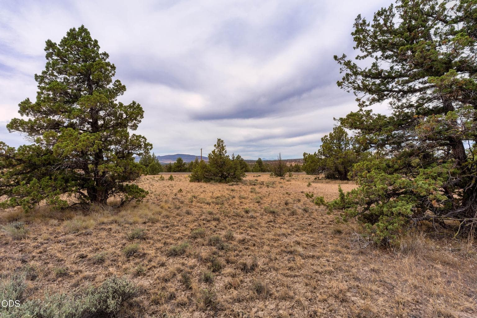 Photo of 10388 Ridgeview Road 6 of 27