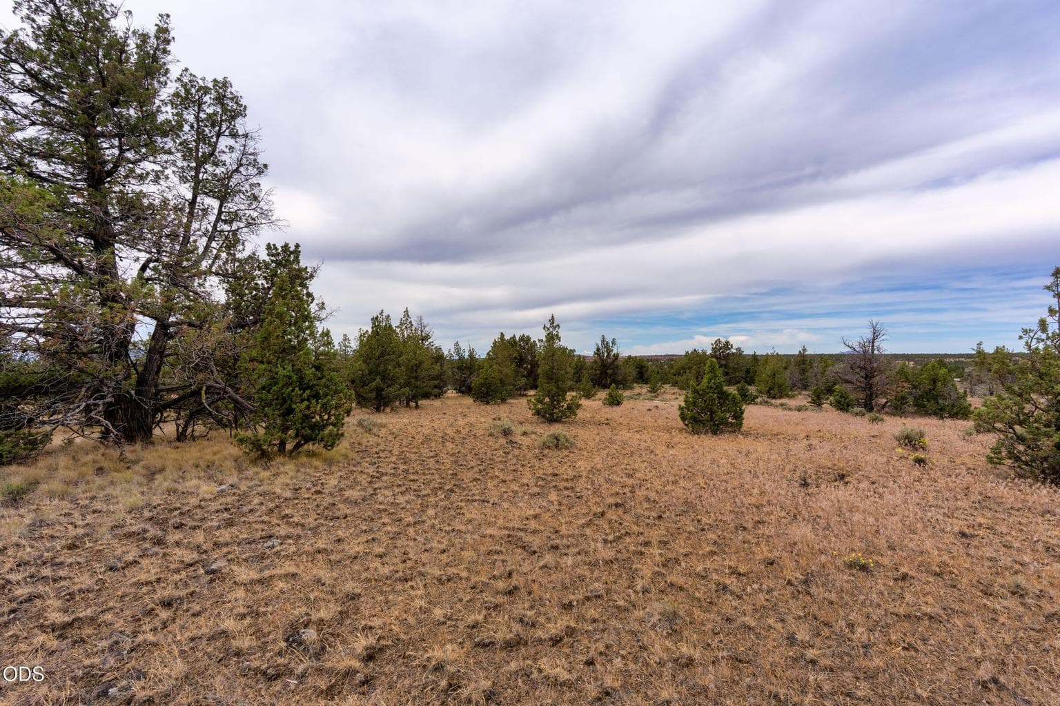 Photo of 10388 Ridgeview Road 7 of 27
