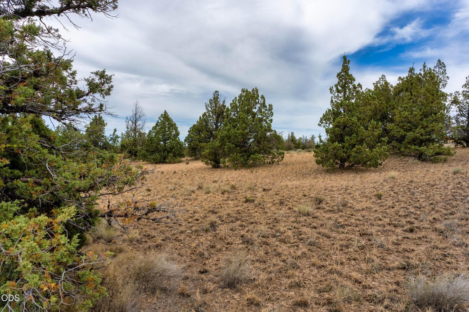 Photo of 10388 Ridgeview Road 10 of 27