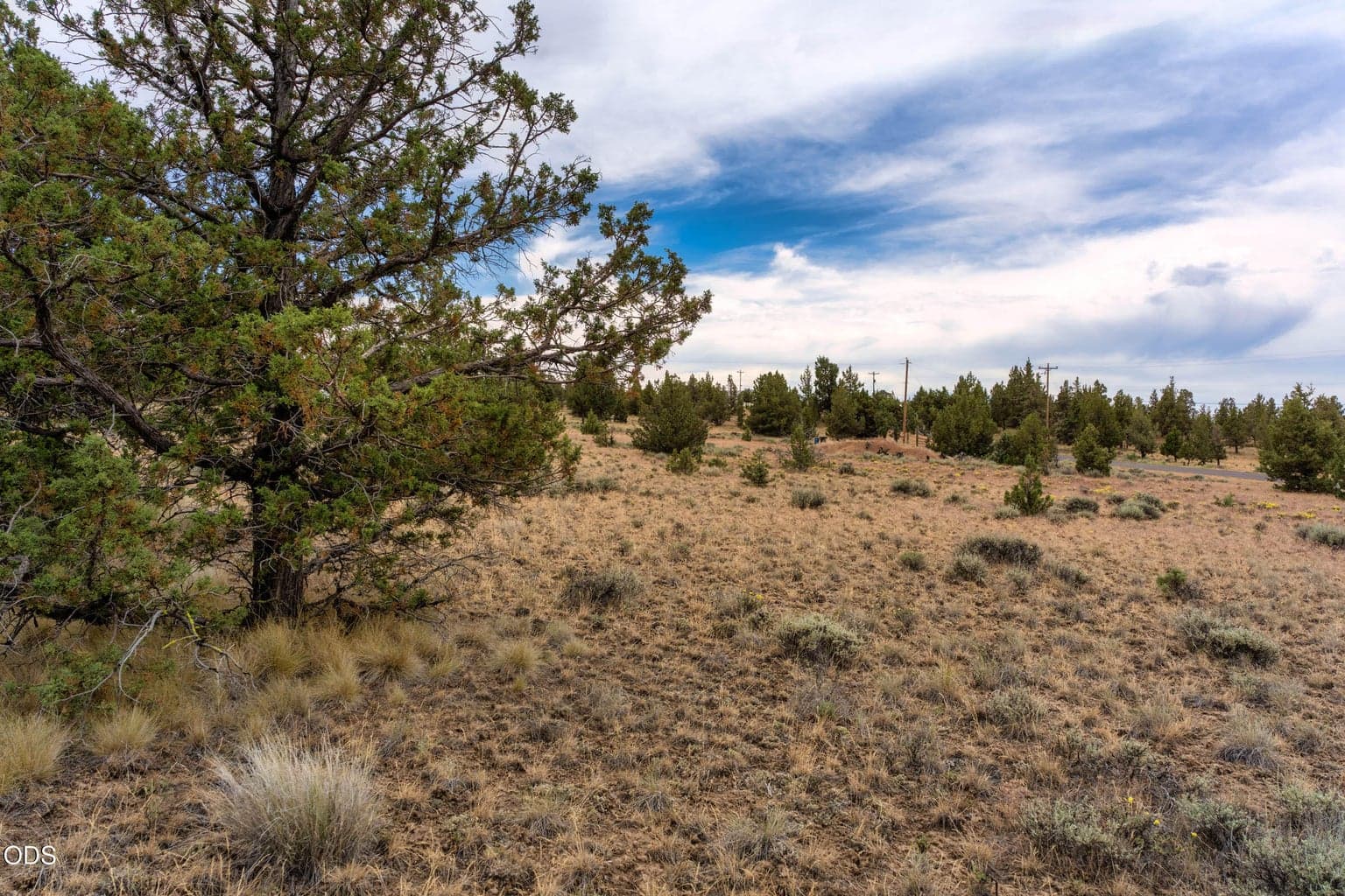 Photo of 10388 Ridgeview Road 11 of 27