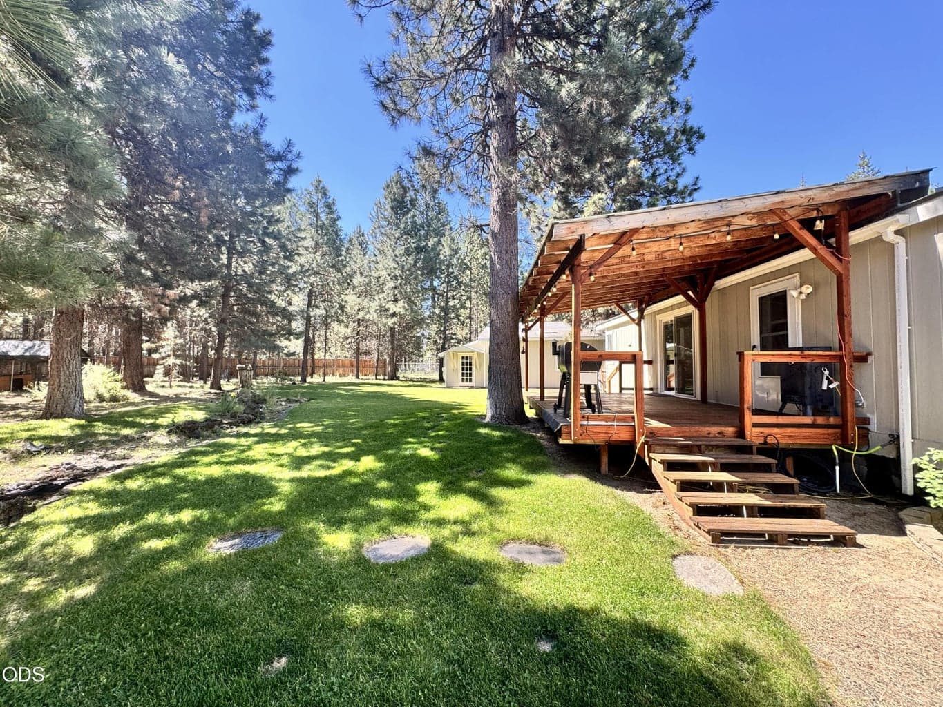 back yard