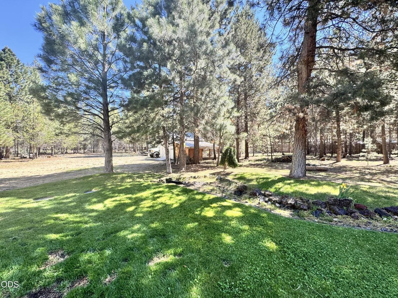 facing northeast from house