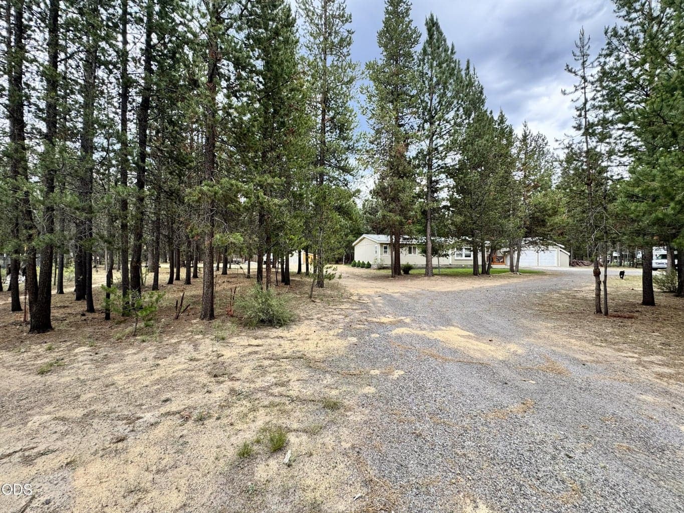 toward house from northwest corner of property