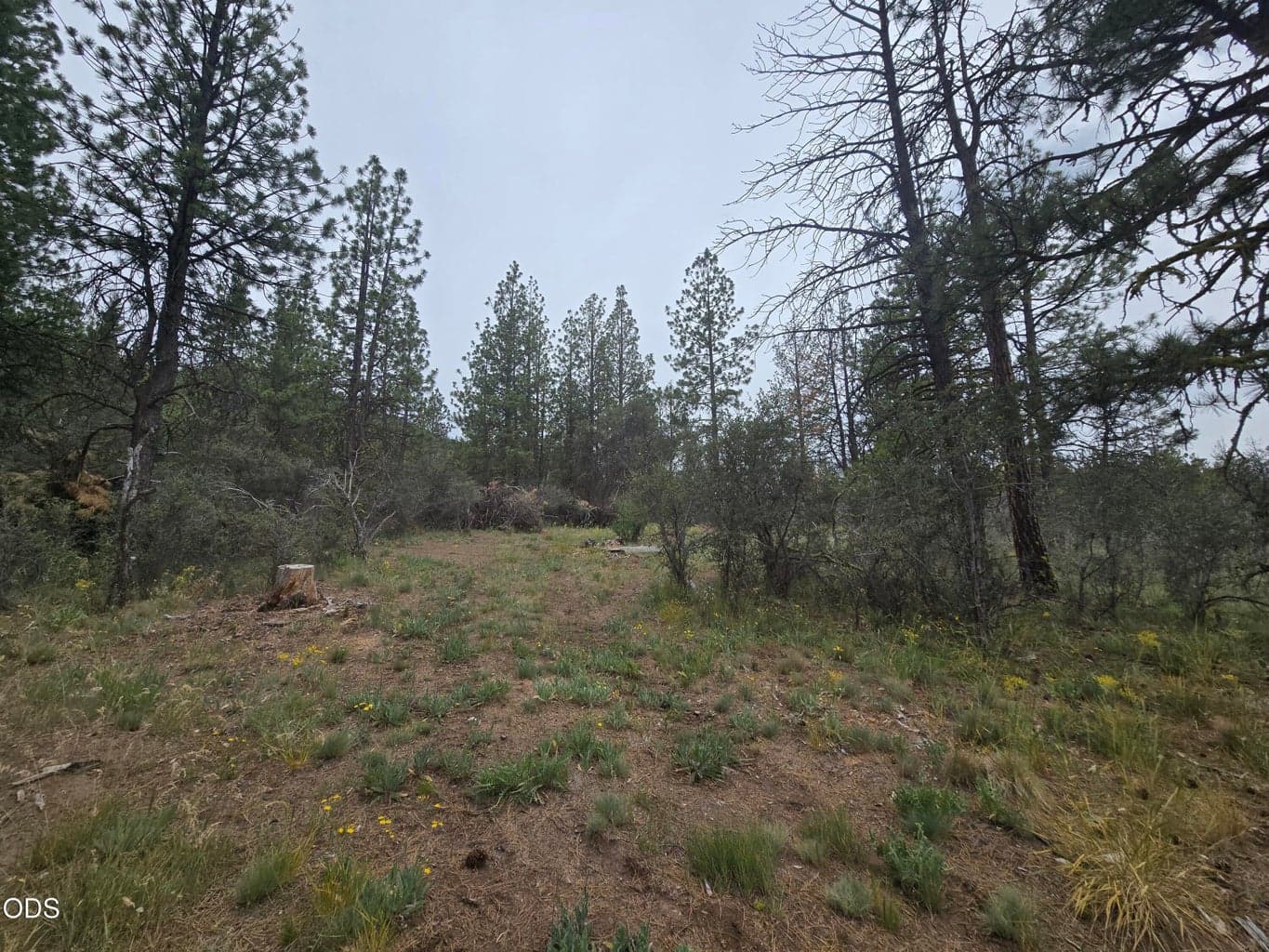 Photo of 0 Partin 3 of 13