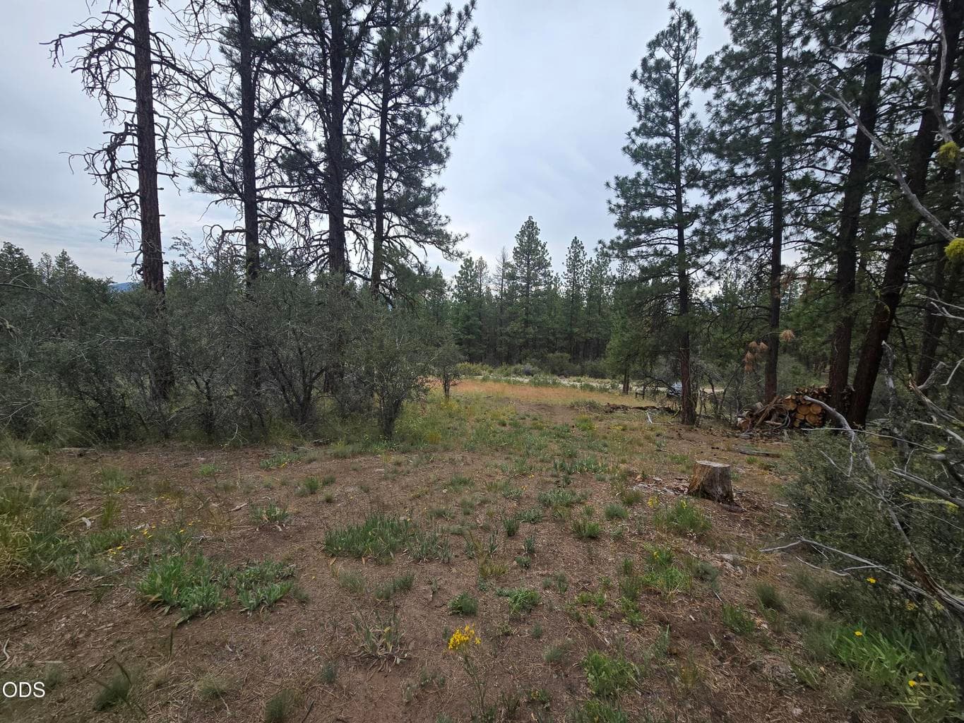 Photo of 0 Partin 4 of 13