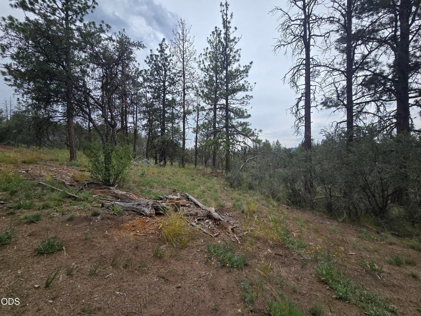 Photo of 0 Partin 5 of 13