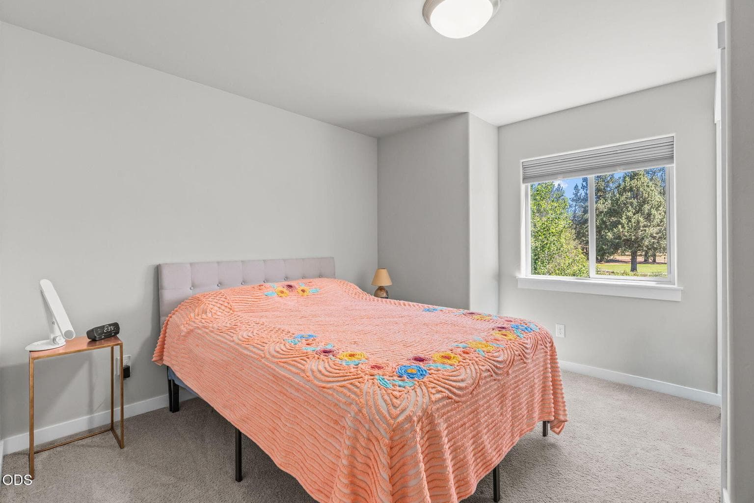 Photo of 60507 Hedgewood 27 of 50