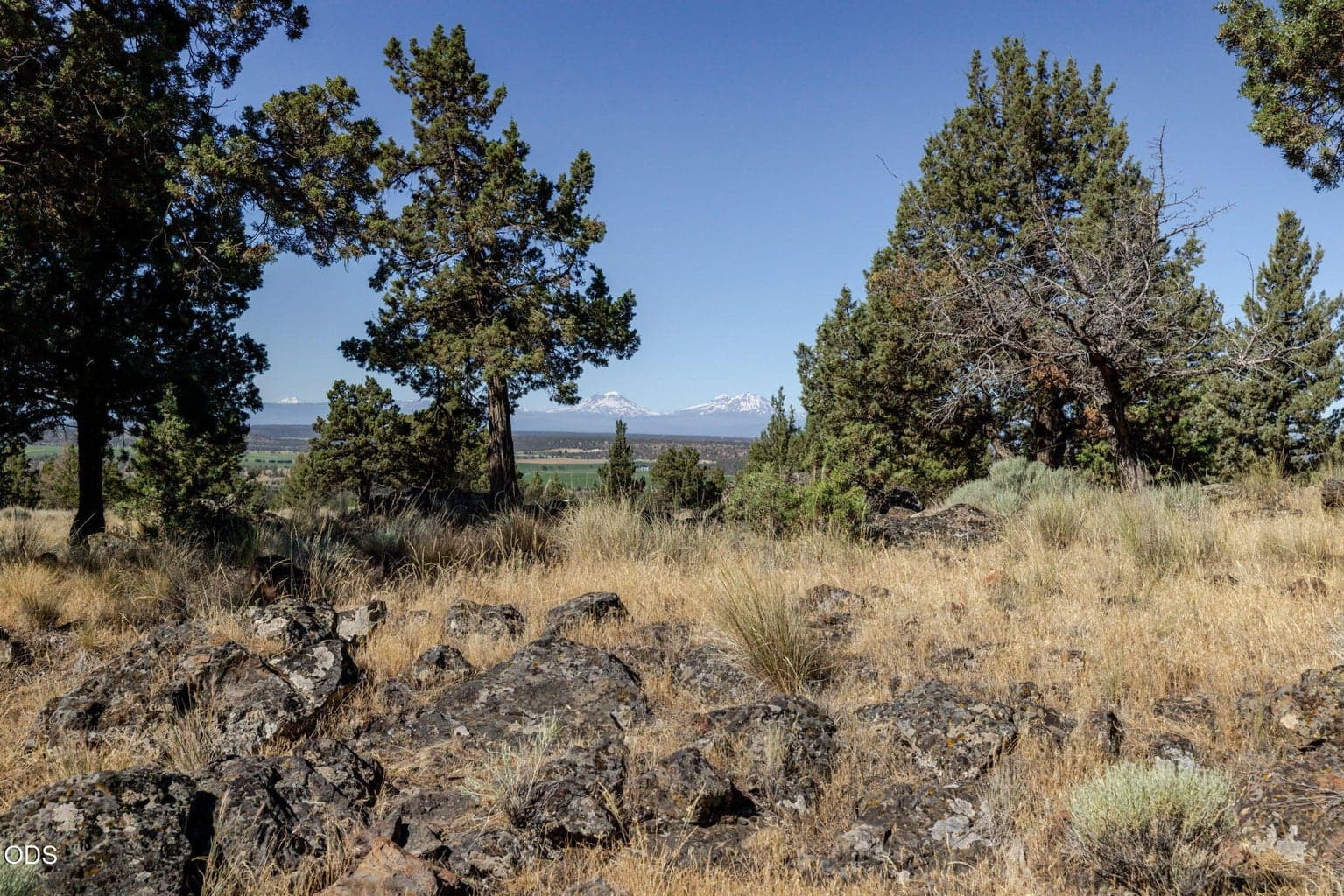 Photo of 8628 SW Crater Loop Road 24 of 27