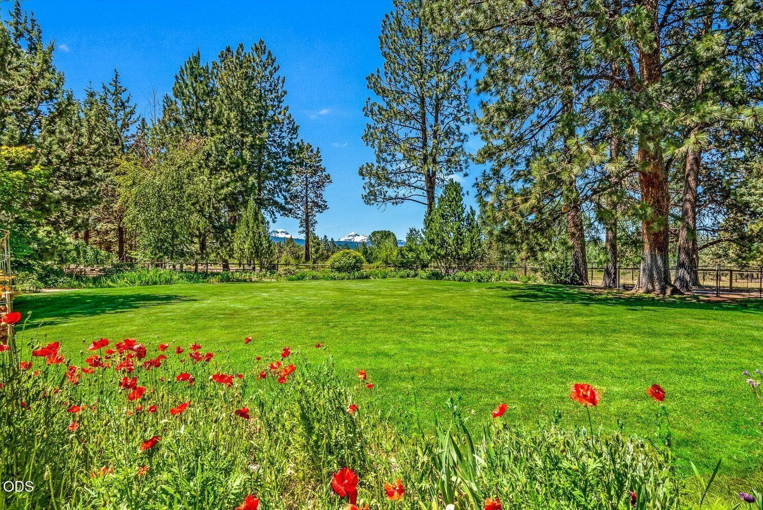 Photo of 64464 Collins Road 53 of 57