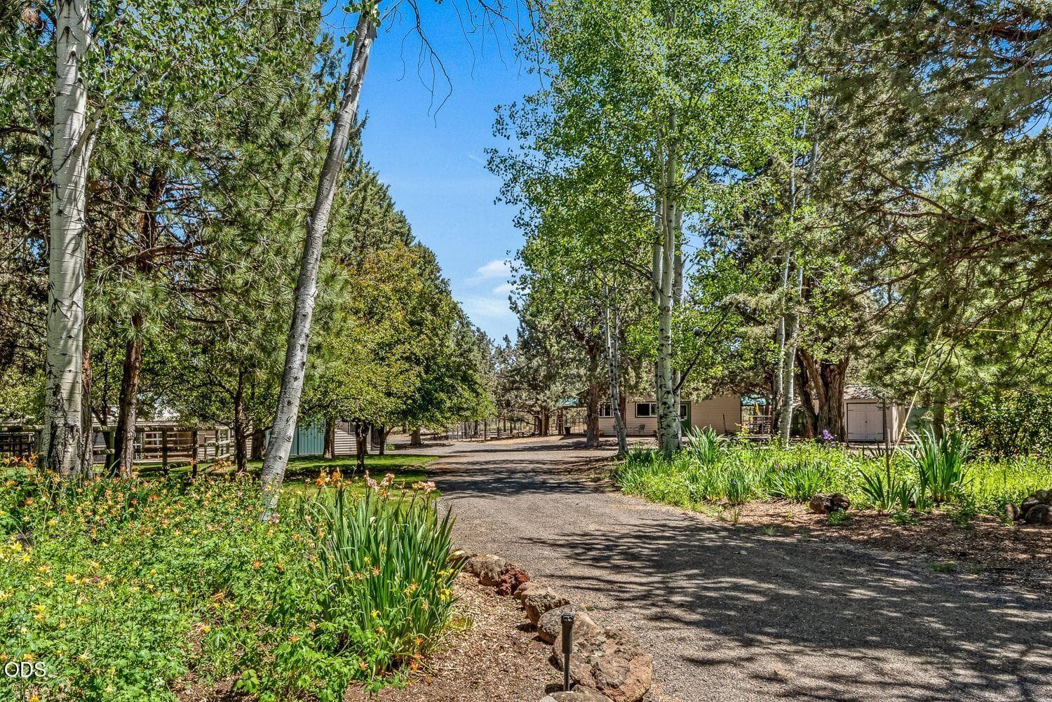 Photo of 64464 Collins 4 of 57