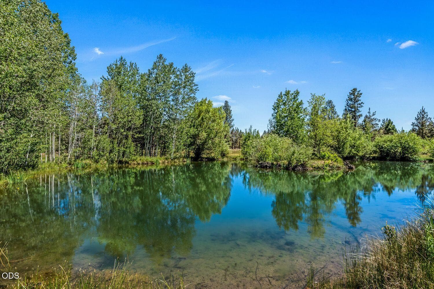 Photo of 64464 Collins Road 46 of 57
