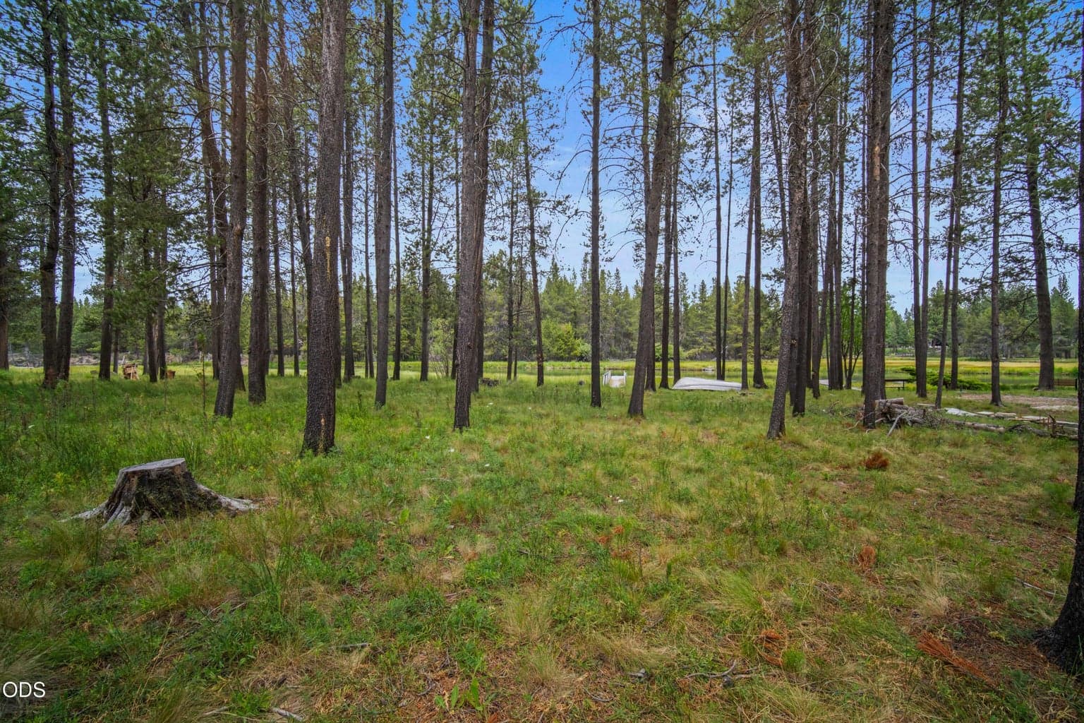 Native grasses, mature trees, and an informal path preserve the quiet, natural character of this Big Deschutes River setting.