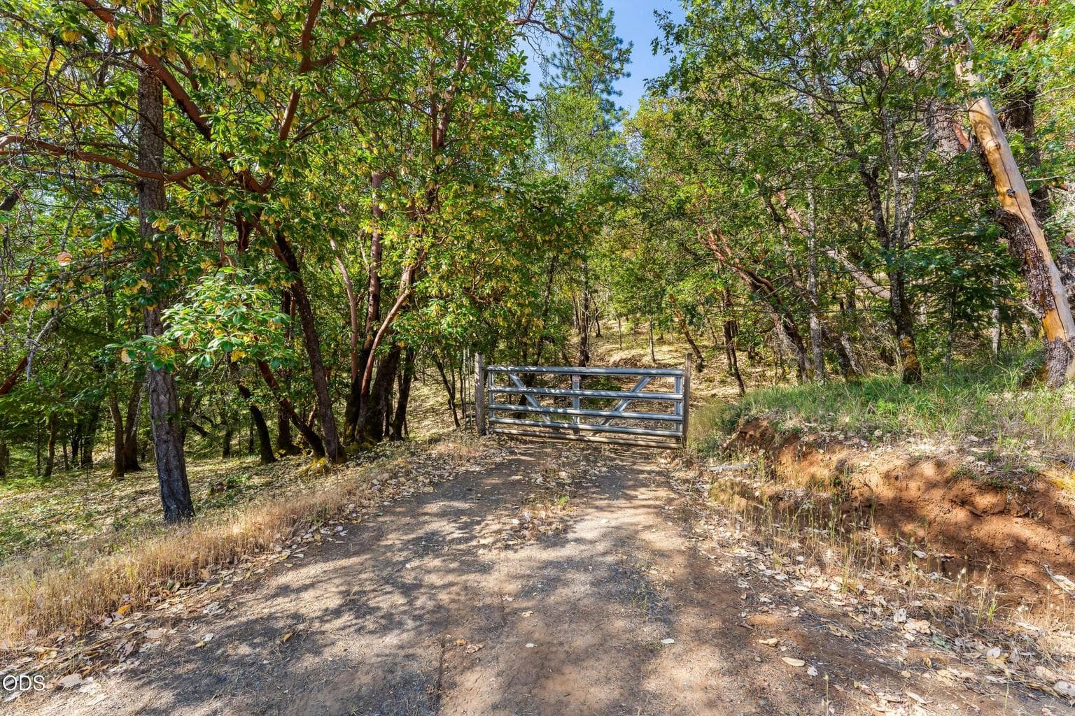 Photo of 1238 Jones Creek 2 of 25