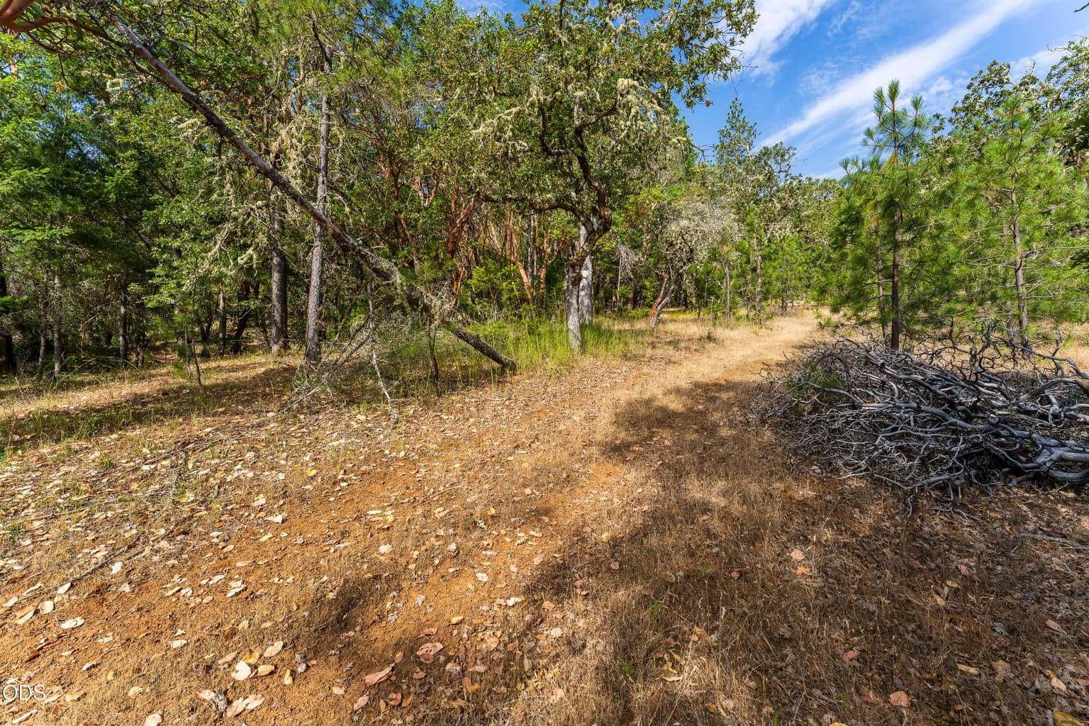 Photo of 1230 Jones Creek 4 of 9