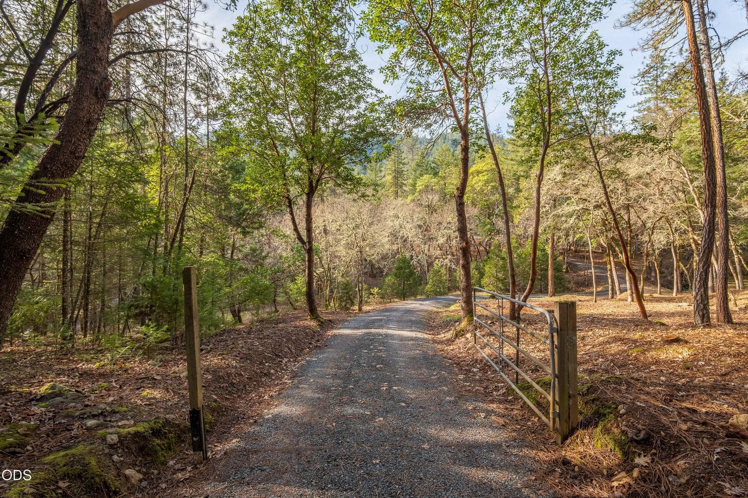 Photo of 1230 Jones Creek 5 of 9