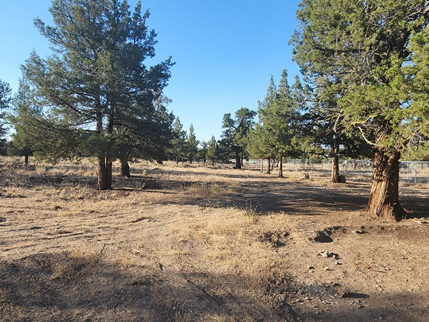 Photo of SW Sparrow Drive 8 of 16