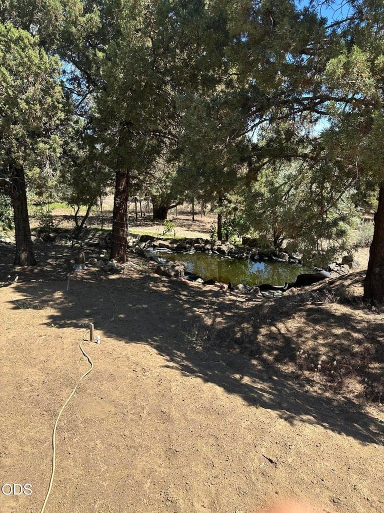 Photo of 23348 Chisholm 5 of 20