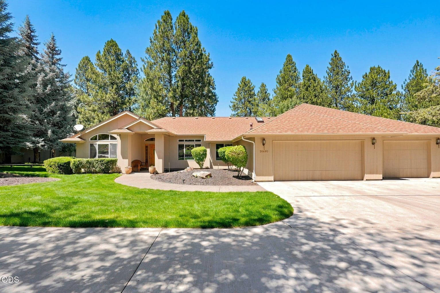 20490 Timberline