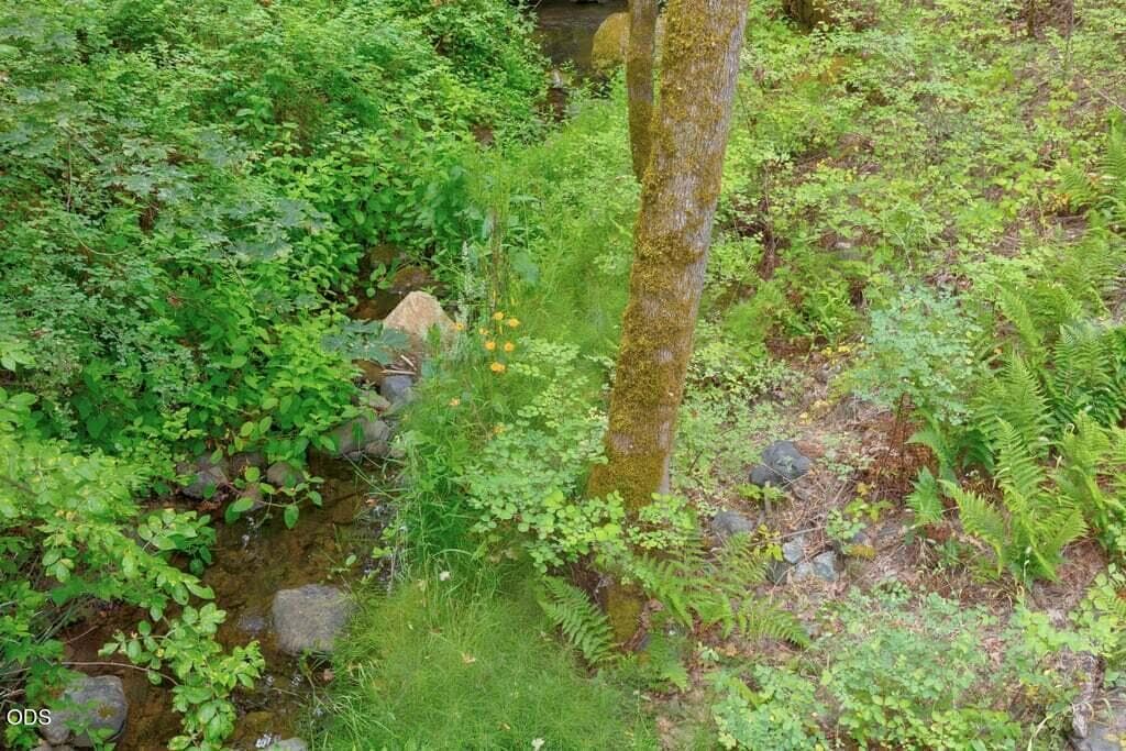Creek Frontage!